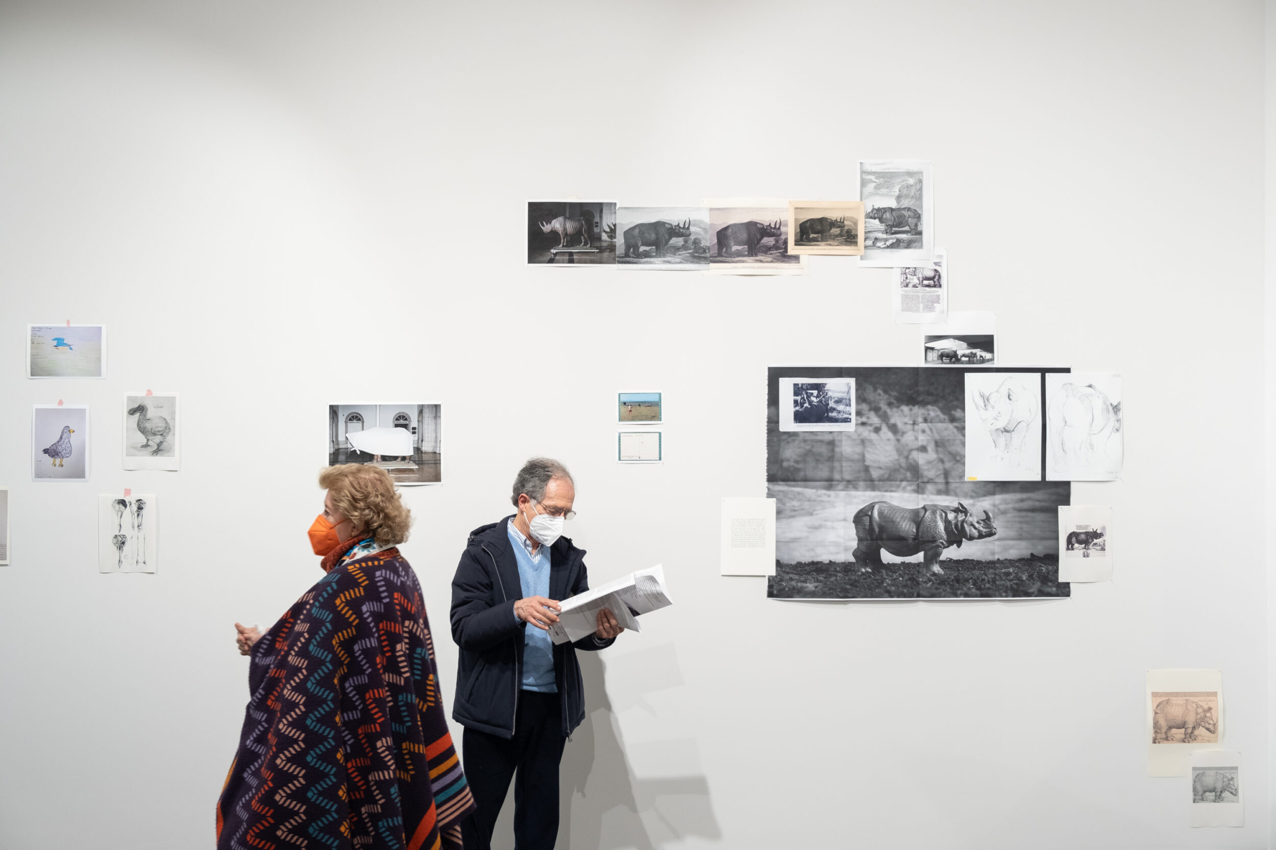 Negócios Estrangeiros / Affaires Étrangères - Vir Andres Hera