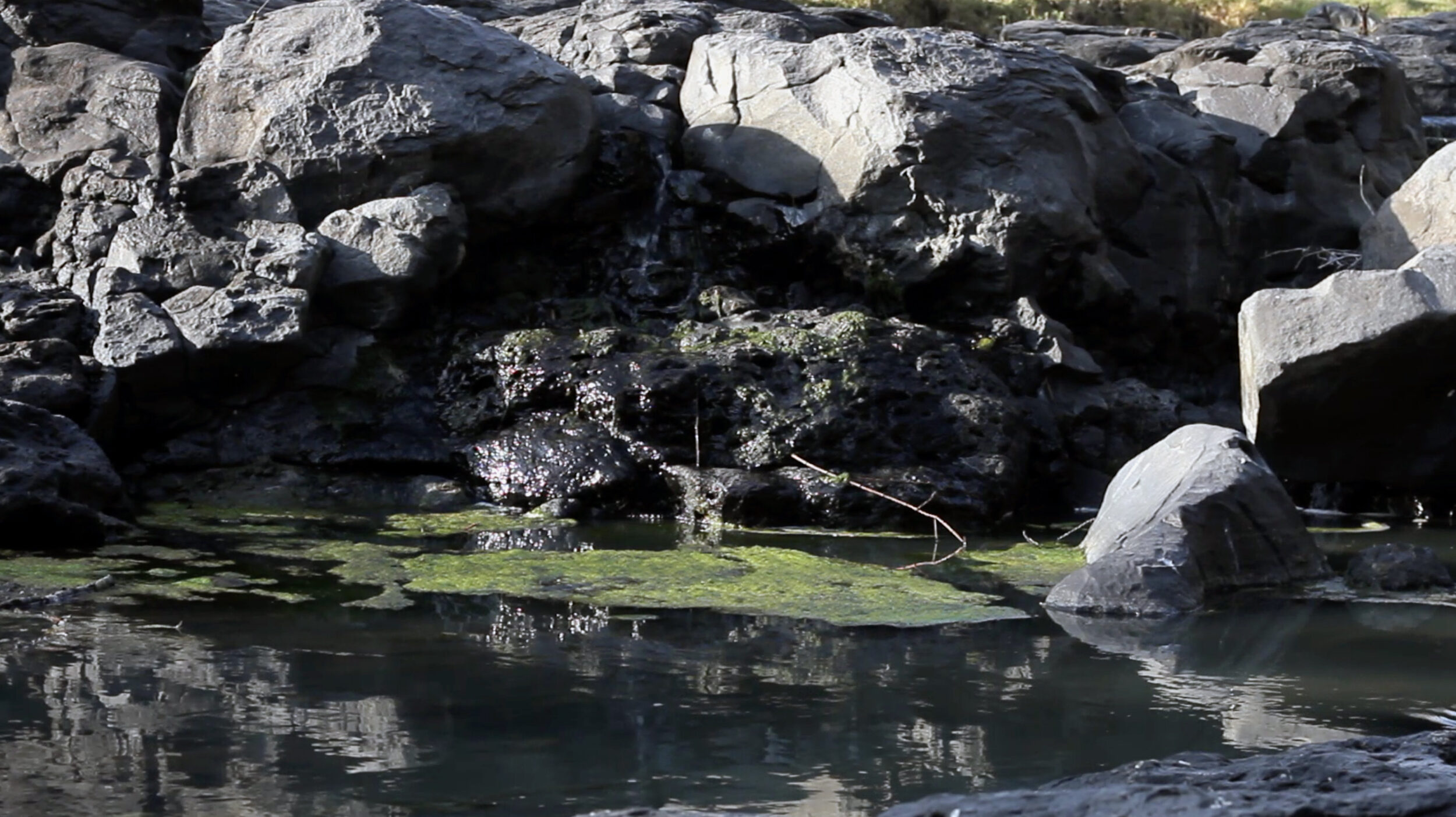 Talaveresco (subtitles) - Vir Andres Hera