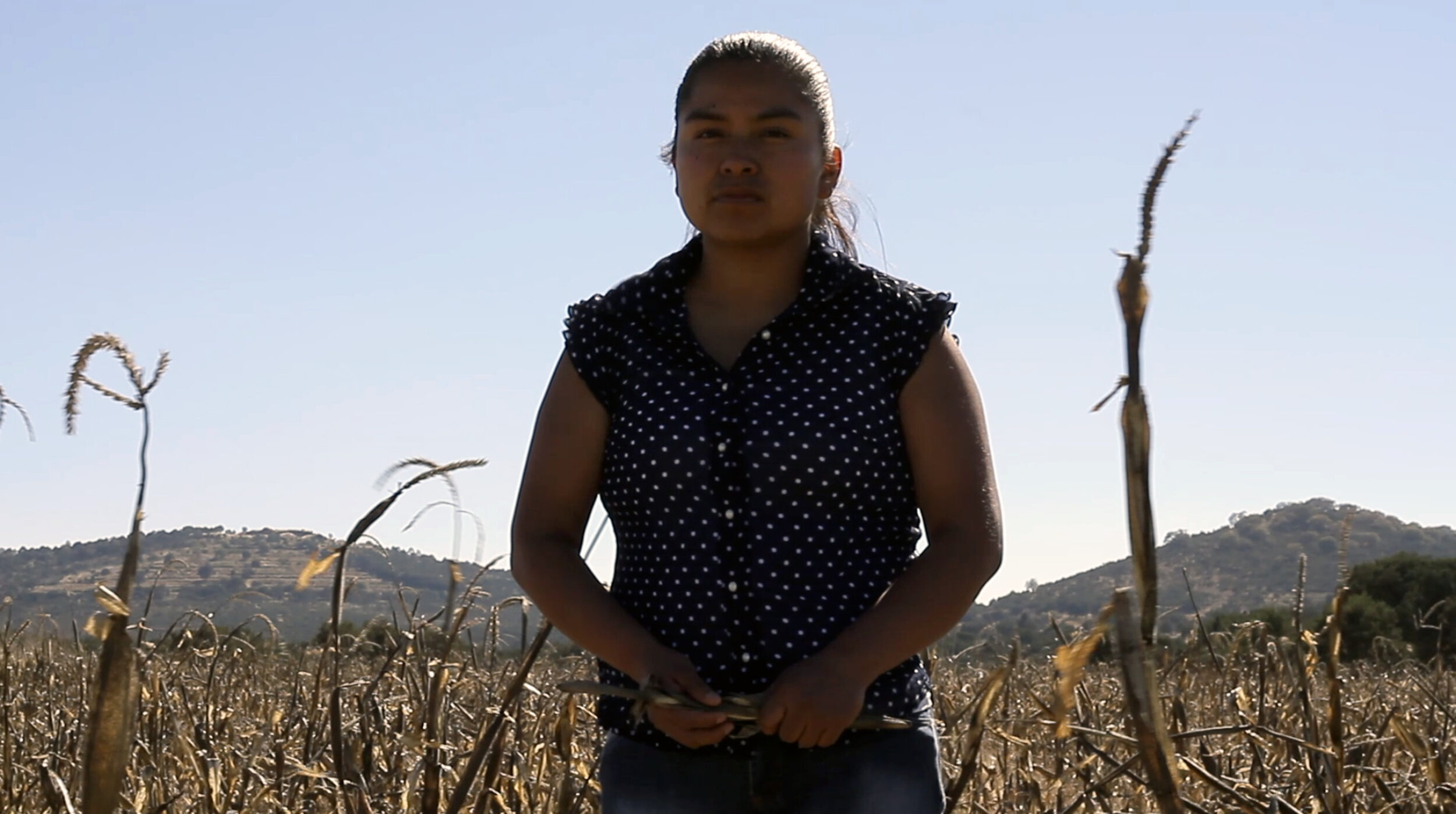 Talaveresco (subtitles) - Vir Andres Hera