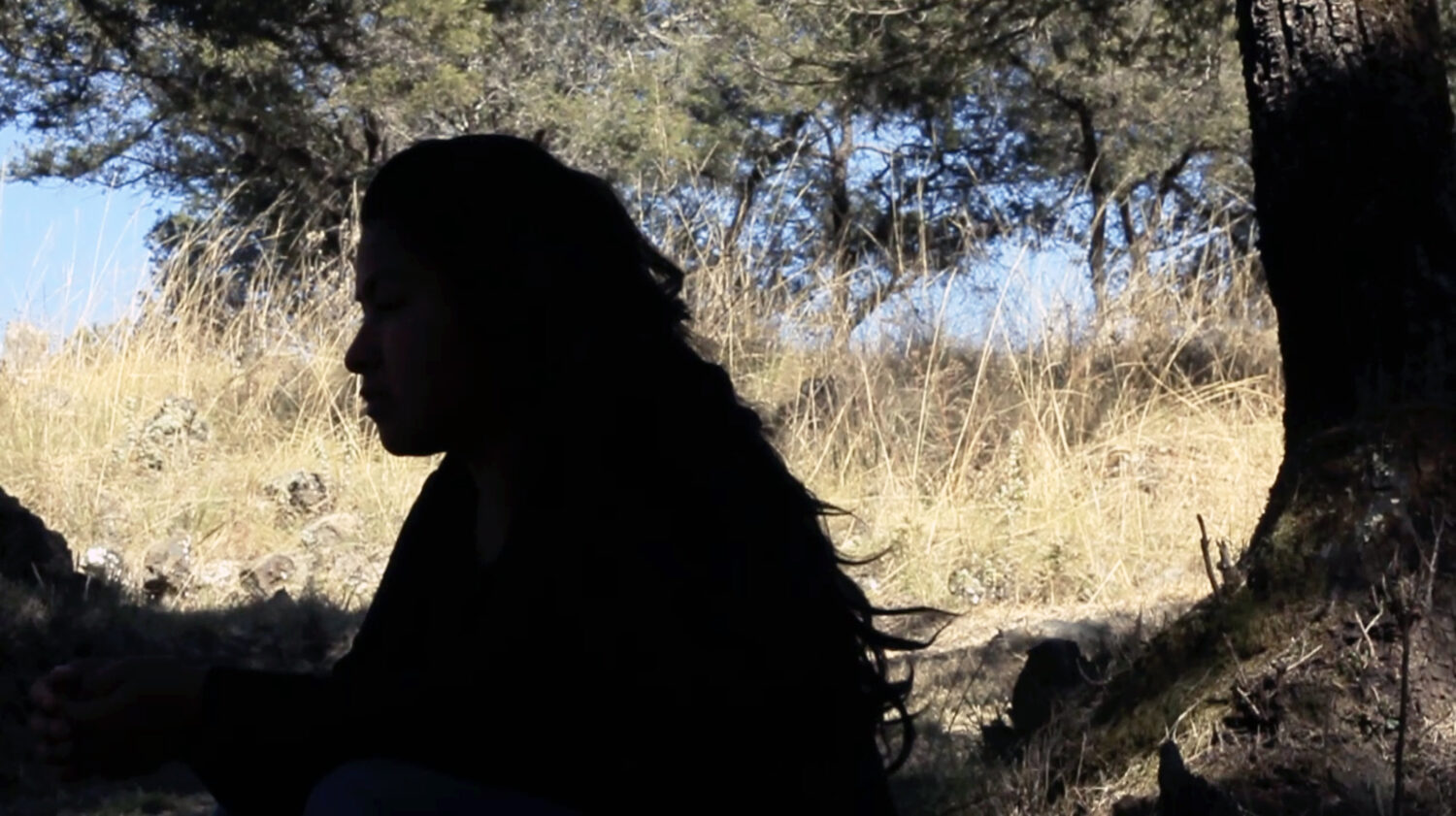 Talaveresco (subtitles) - Vir Andres Hera