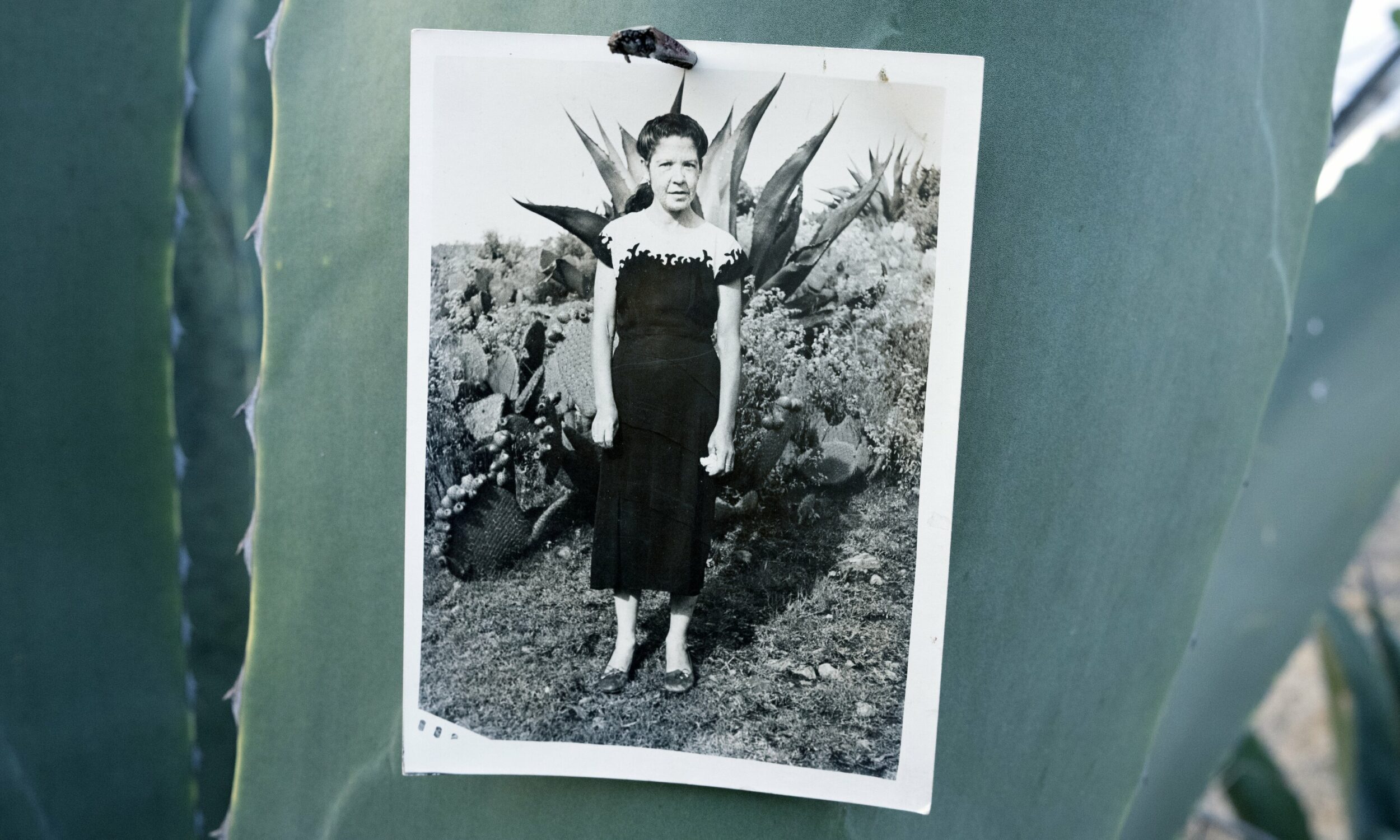 Snake Chamber, Burial Reenactment - Vir Andres Hera