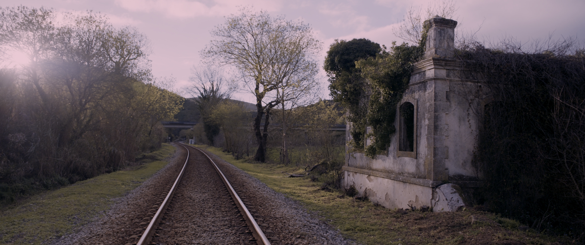 Le Daftar - Vir Andres Hera