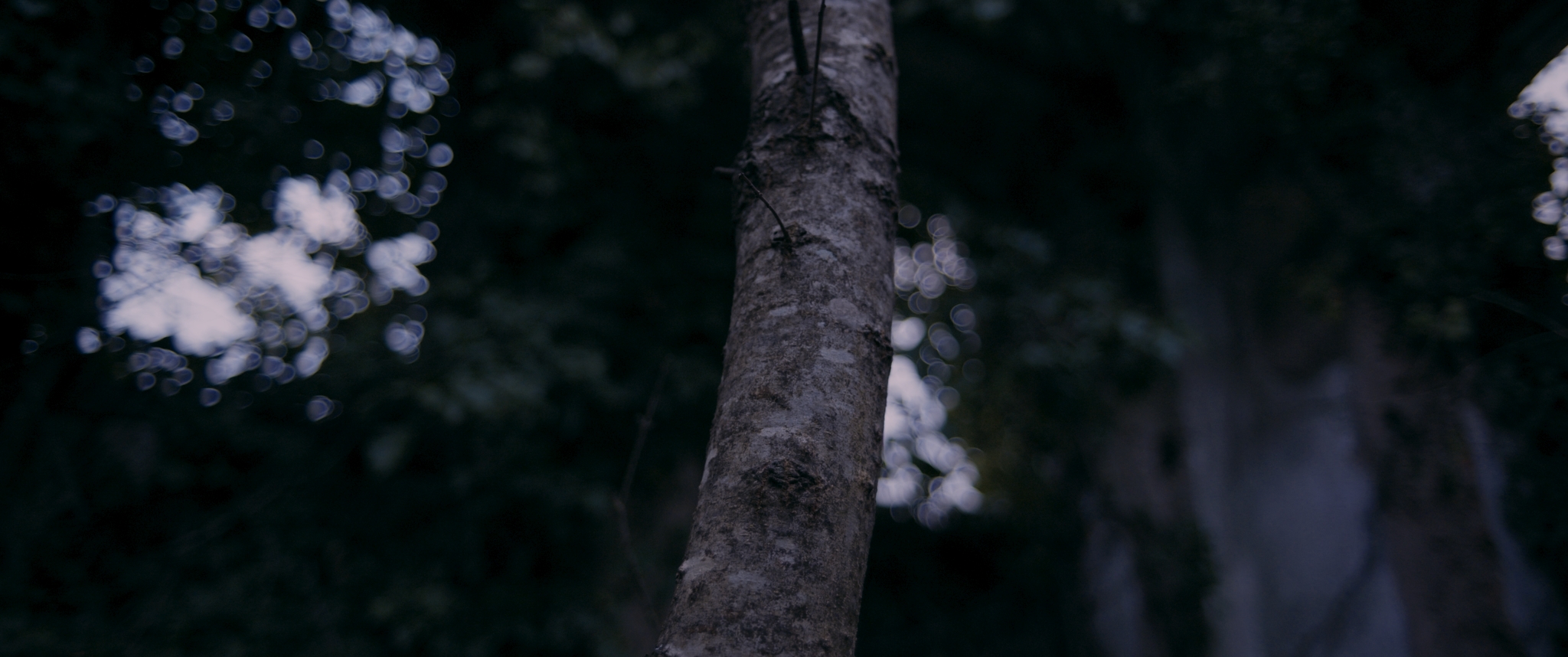 Le Daftar - Vir Andres Hera