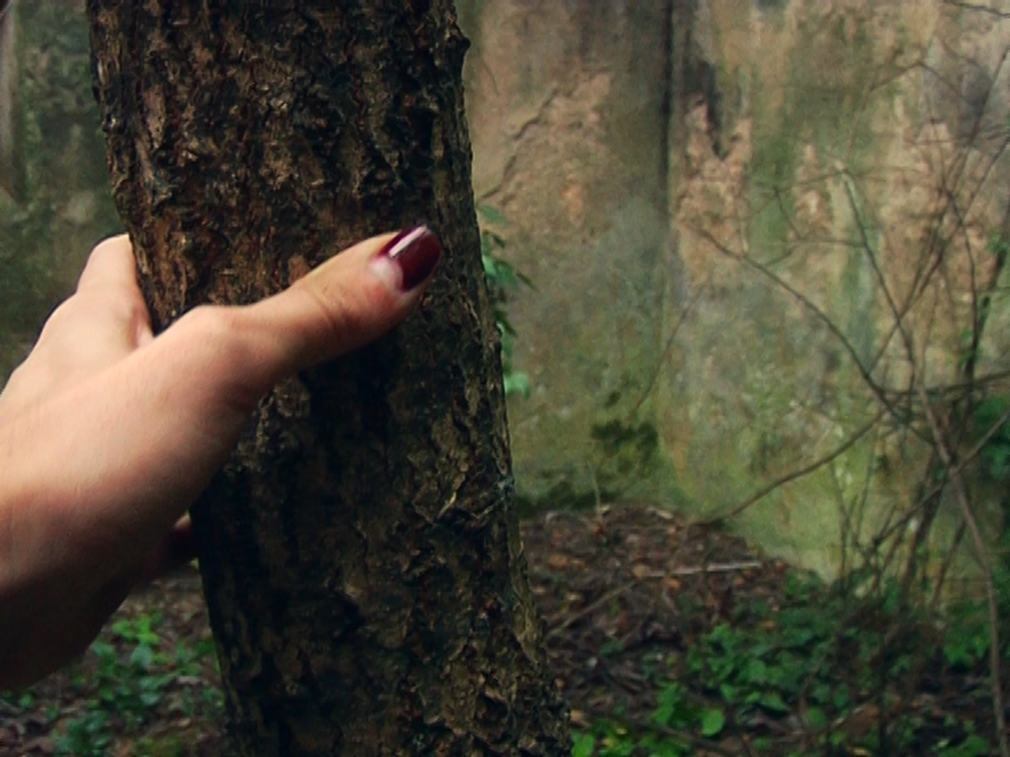 Le Daftar - Vir Andres Hera