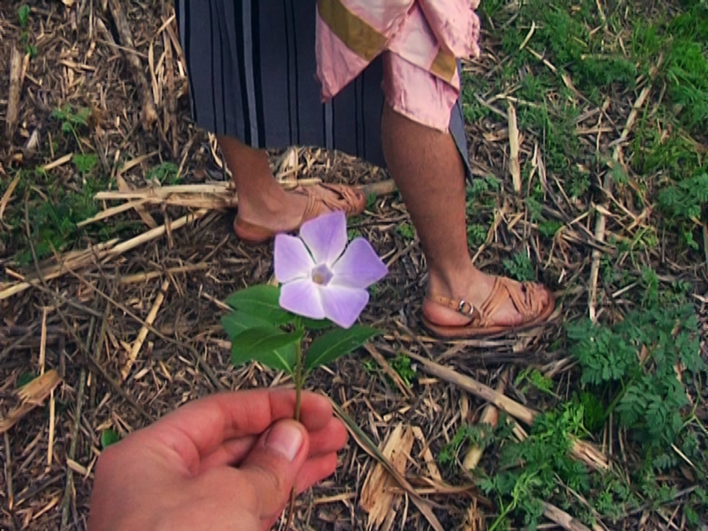 Baroque frequencies, endless conversions - Vir Andres Hera