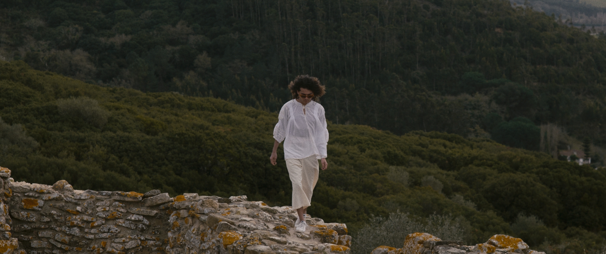 Le Daftar - Vir Andres Hera