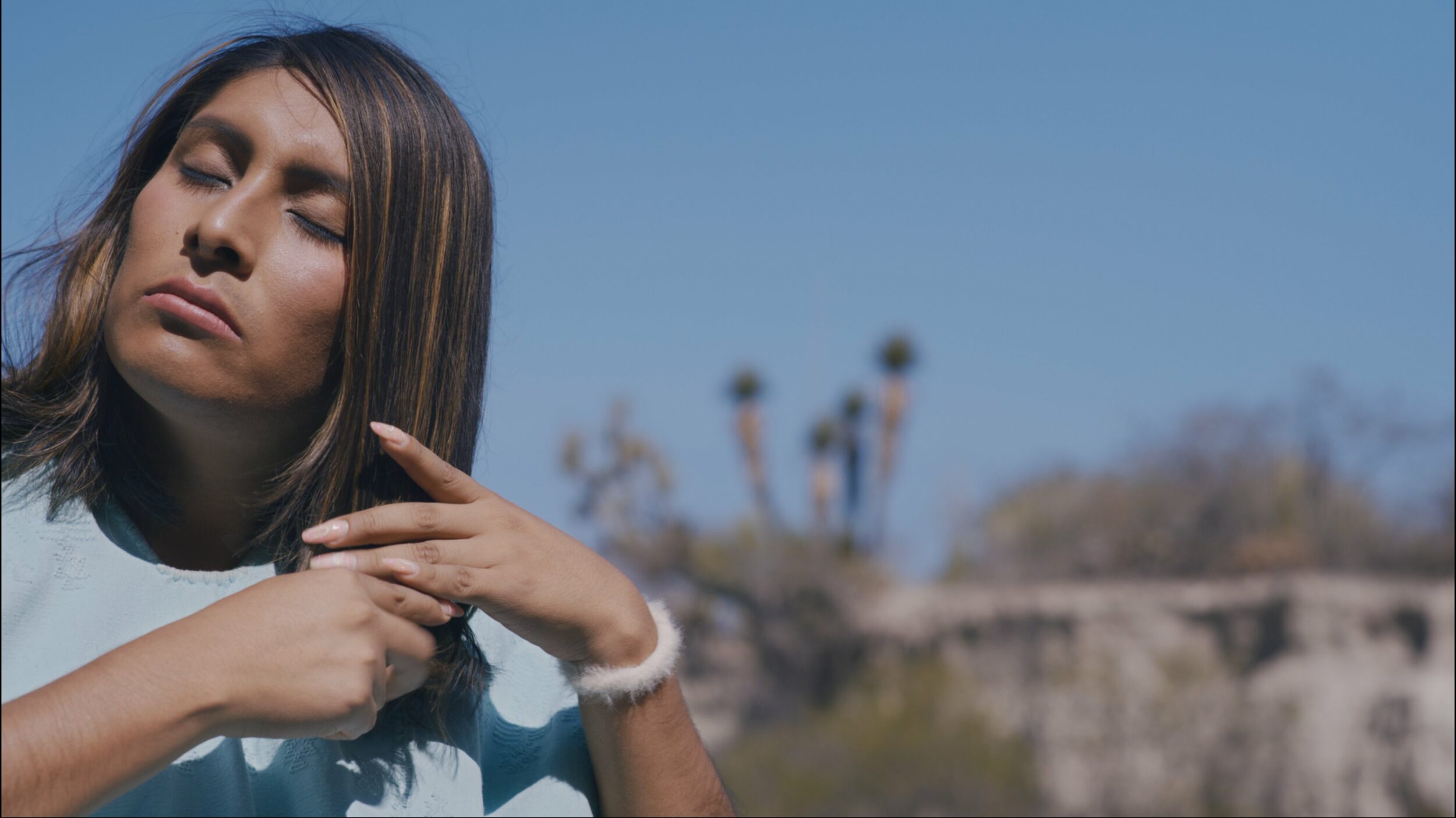 Amoxtli - Vir Andres Hera