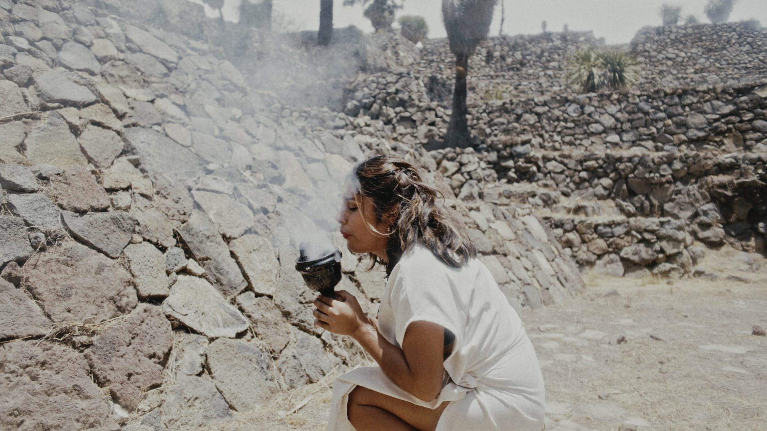 Amoxtli - Vir Andres Hera