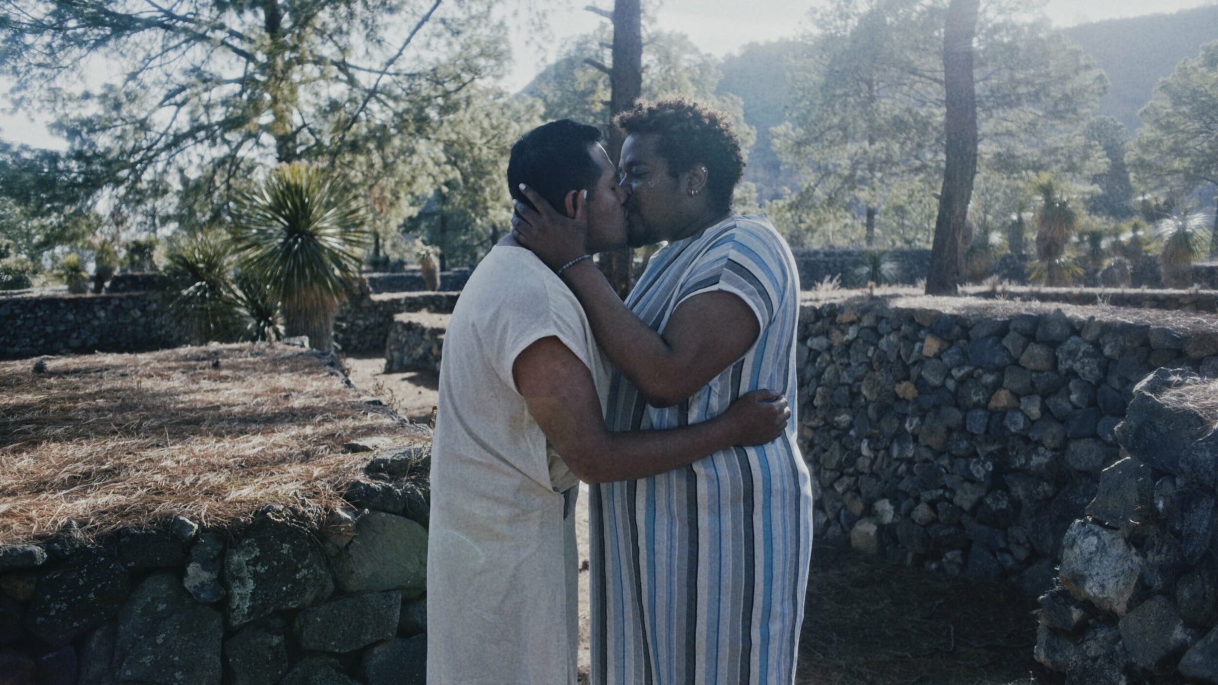 Amoxtli - Vir Andres Hera