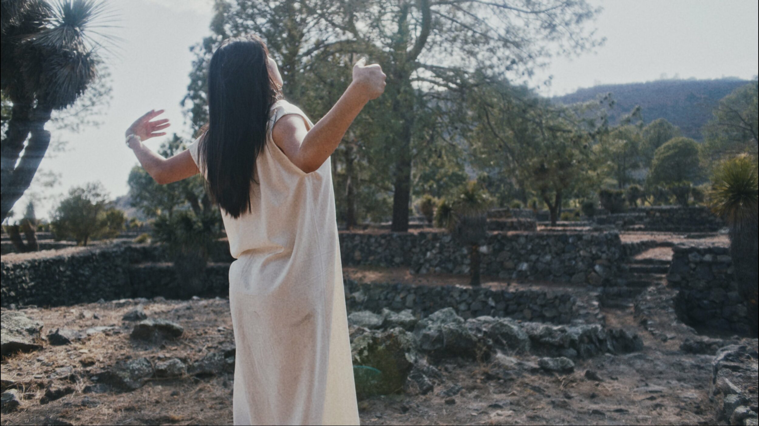 Amoxtli - Vir Andres Hera