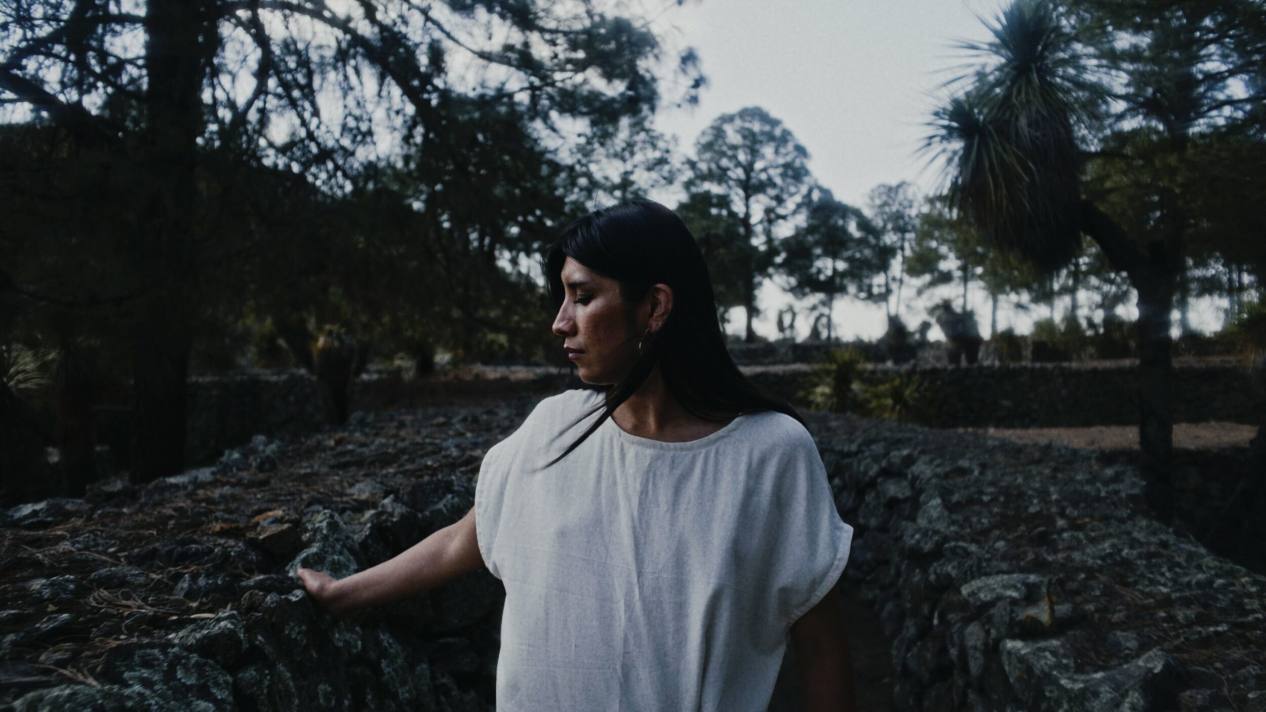 Amoxtli - Vir Andres Hera