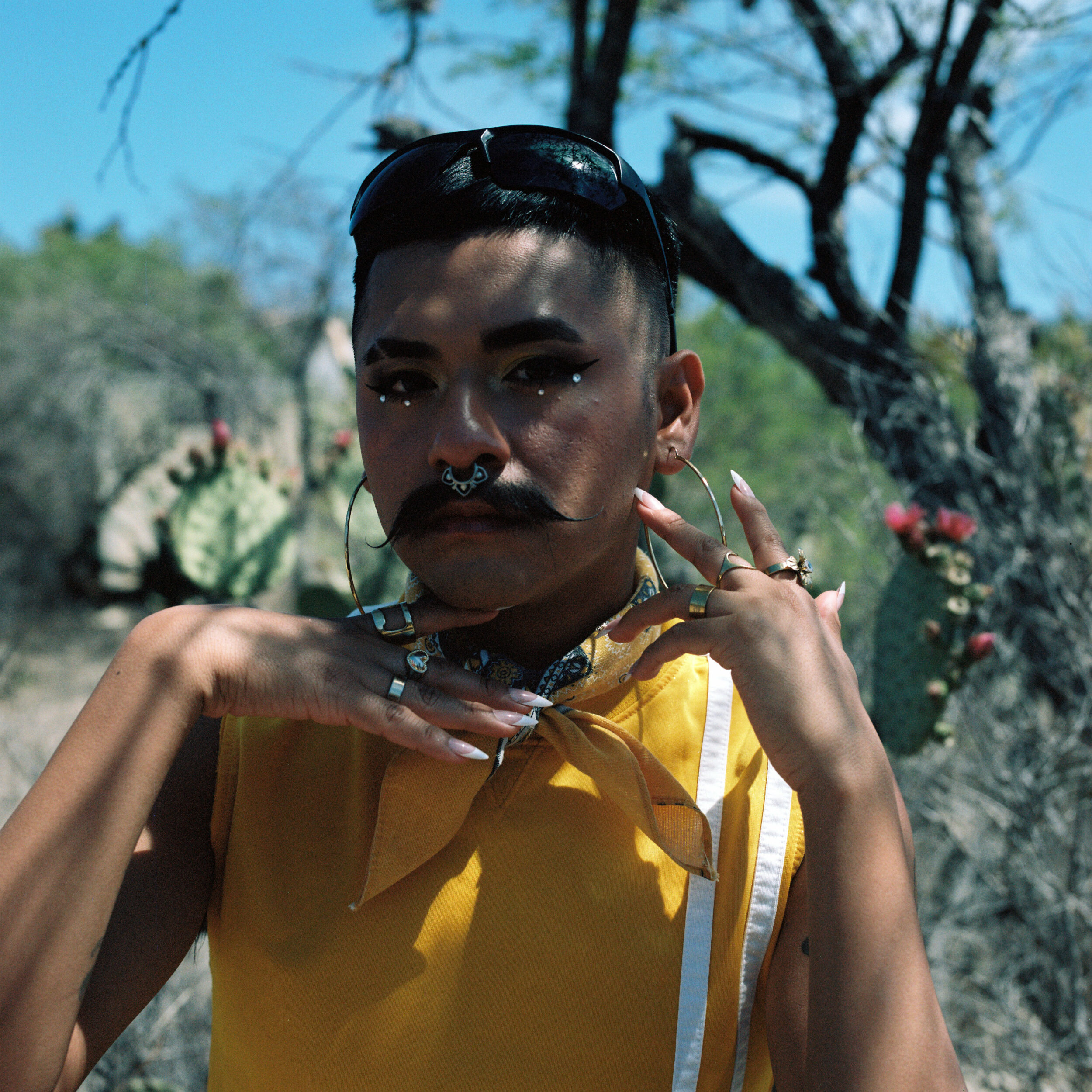 Baroque frequencies, endless conversions - Vir Andres Hera