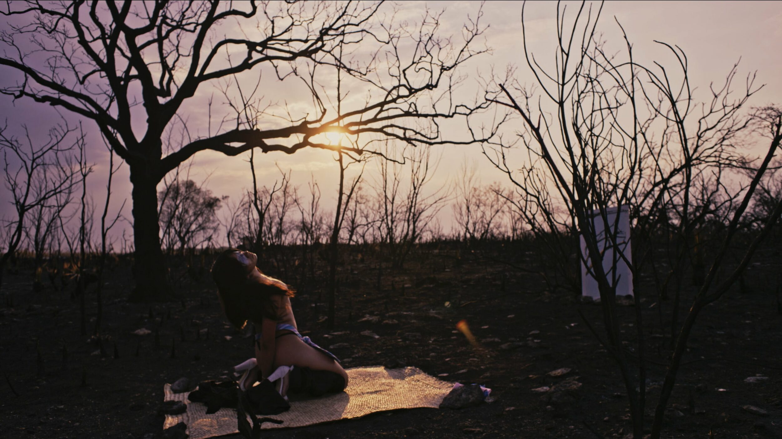 Amoxtli - Vir Andres Hera