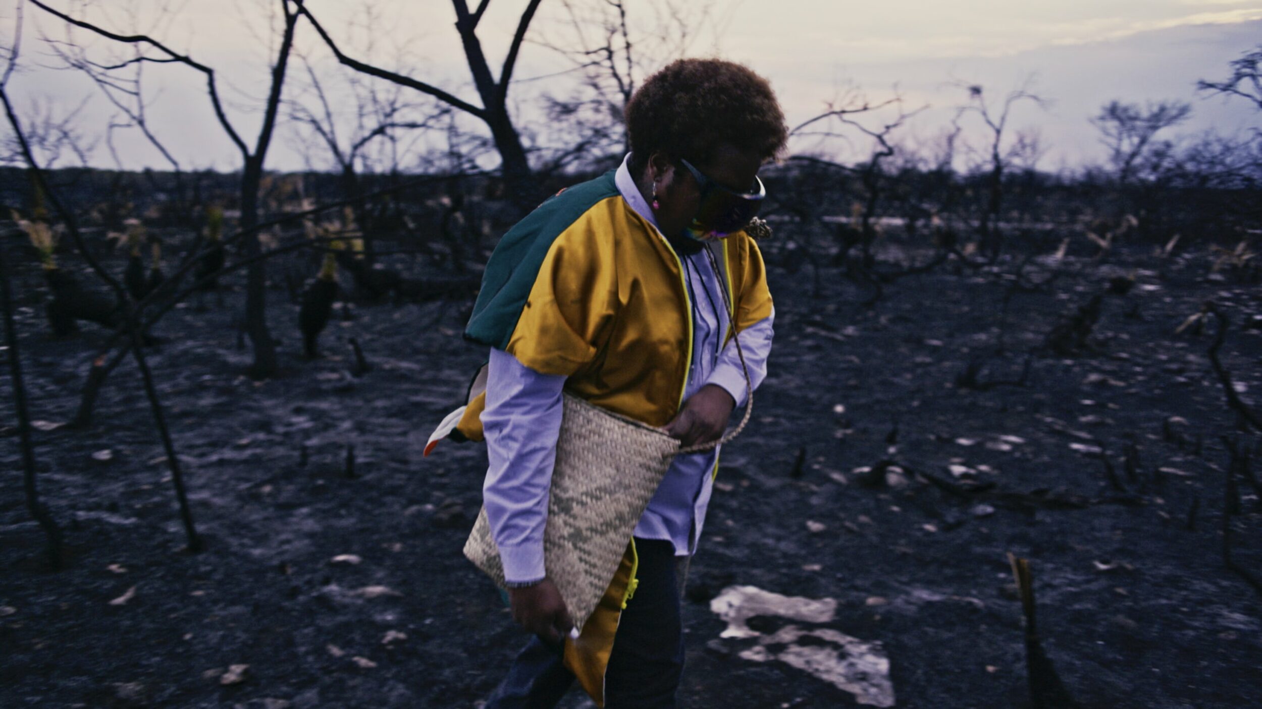 Amoxtli - Vir Andres Hera