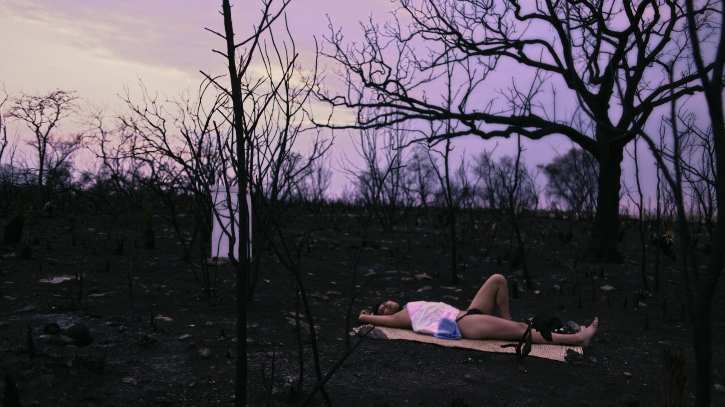 Amoxtli - Vir Andres Hera