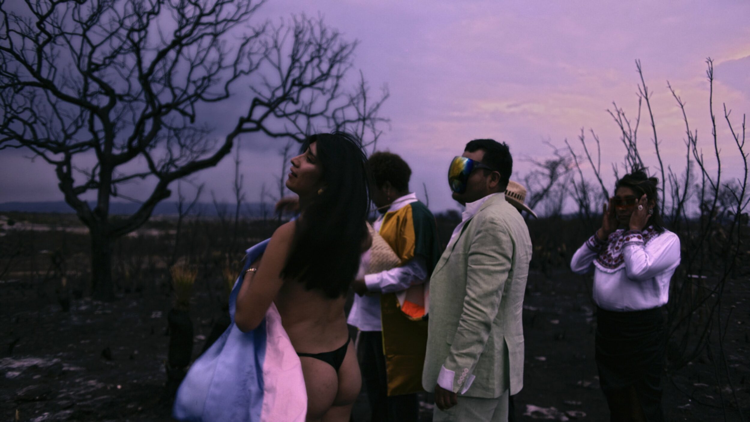 Amoxtli - Vir Andres Hera