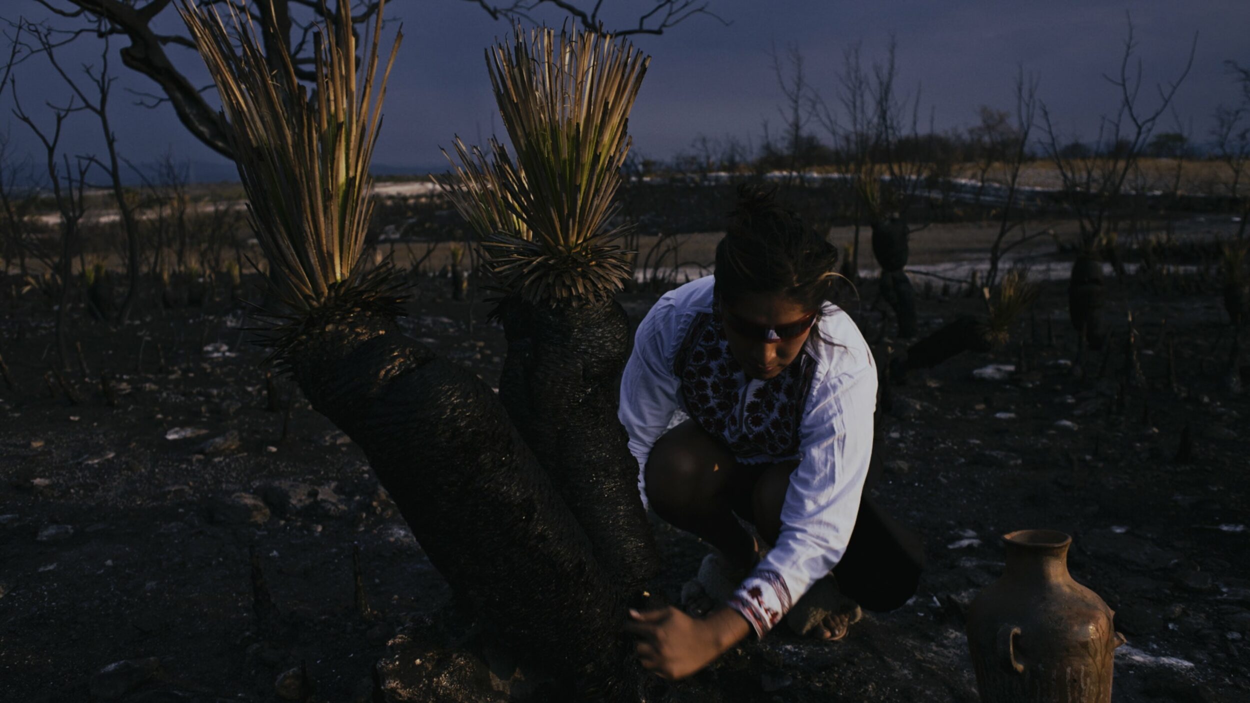 Amoxtli - Vir Andres Hera