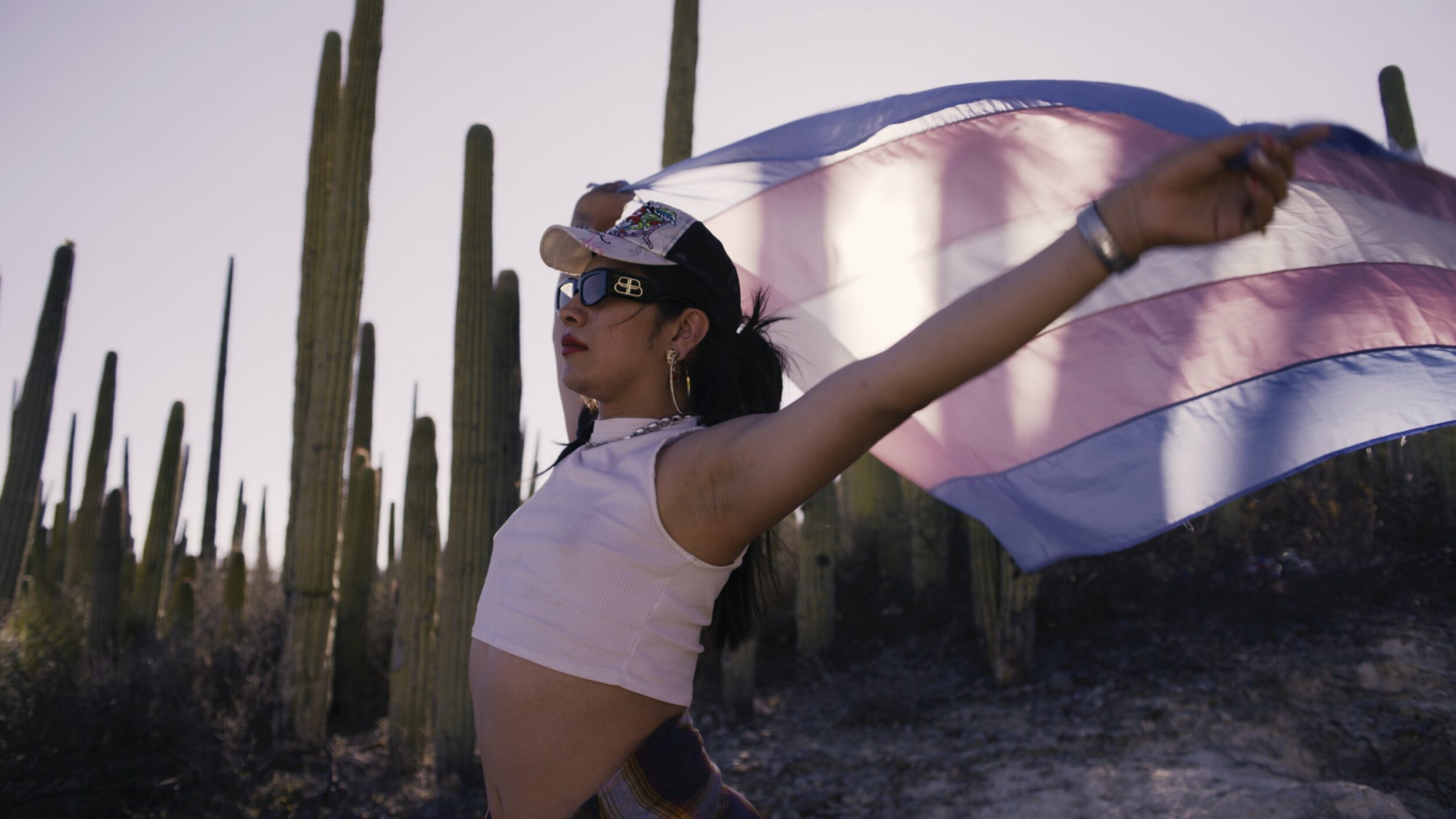 Amoxtli - Vir Andres Hera