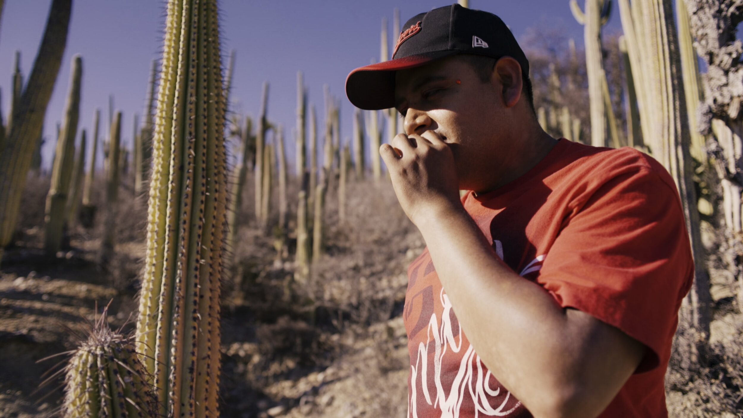 Amoxtli - Vir Andres Hera