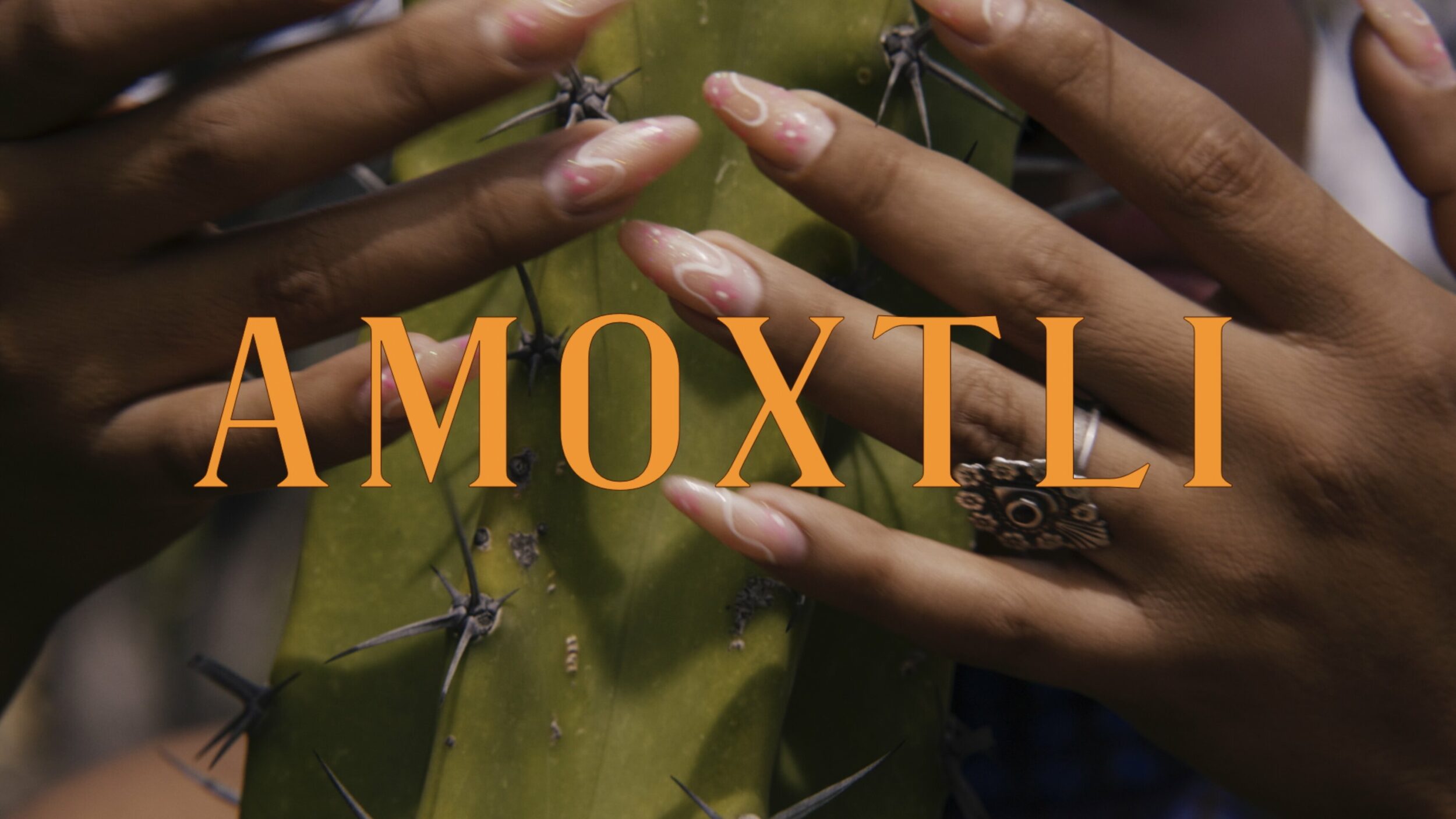 Amoxtli - Vir Andres Hera