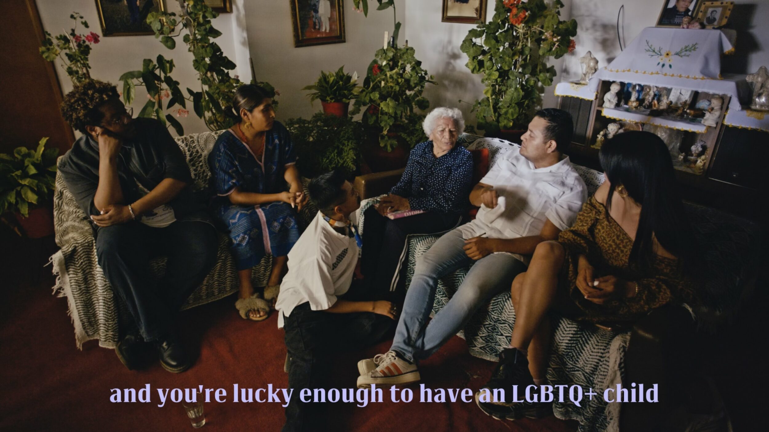 Amoxtli - Vir Andres Hera