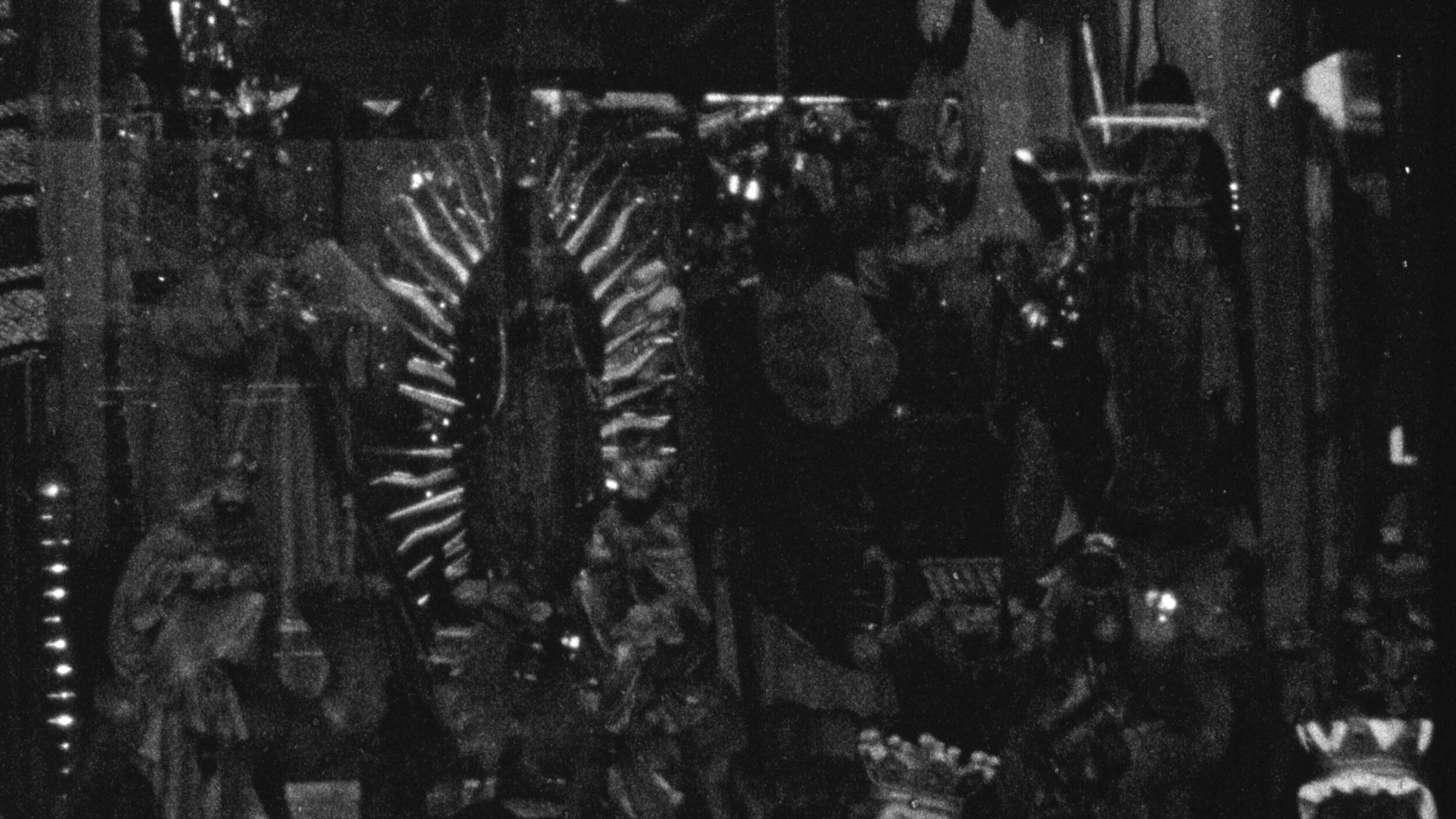 Amoxtli - Vir Andres Hera