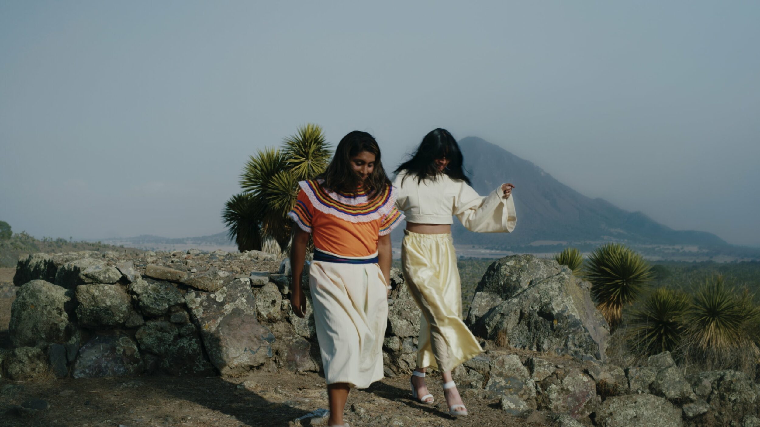 Amoxtli - Vir Andres Hera