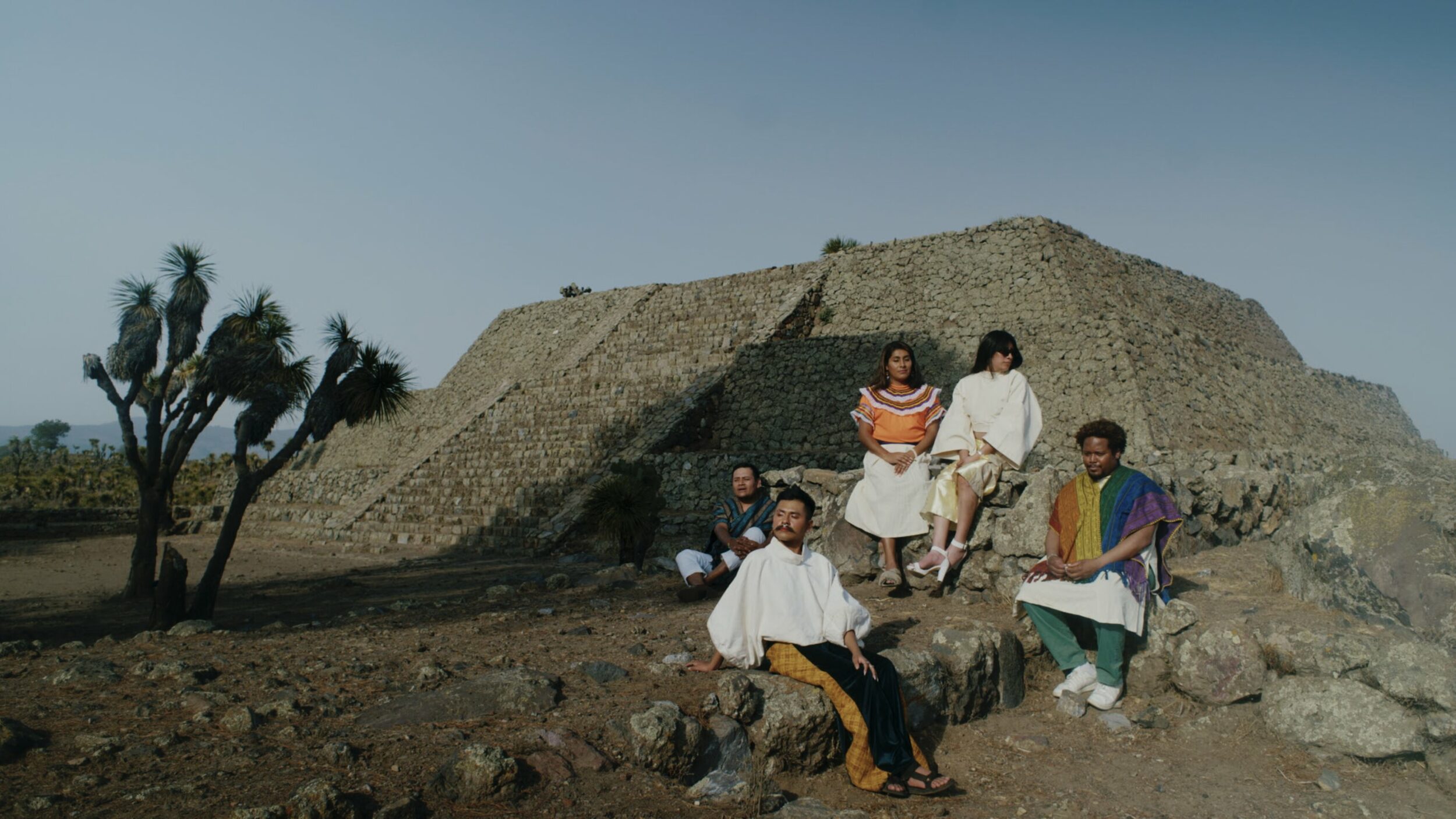 Amoxtli - Vir Andres Hera