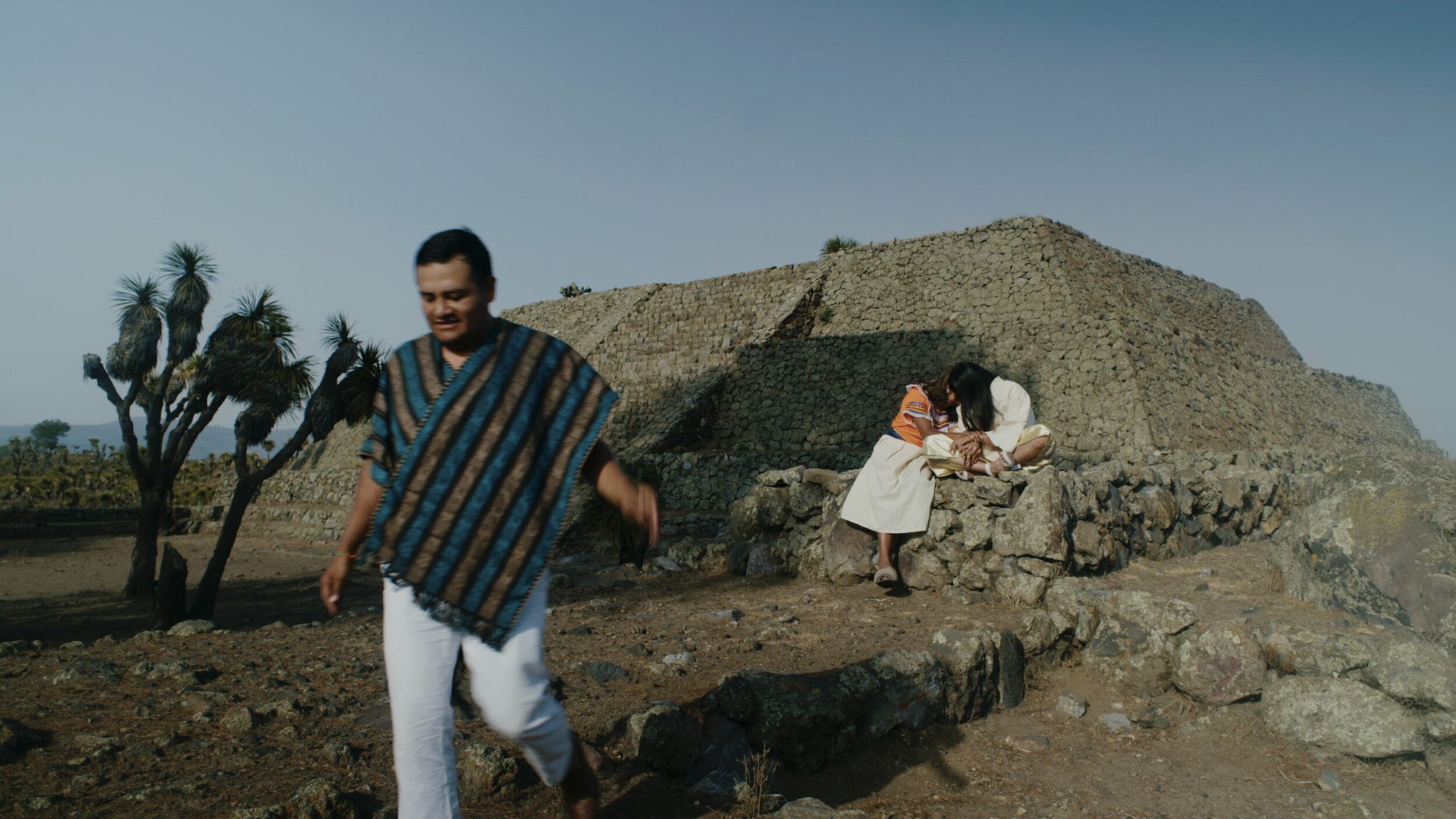 Amoxtli - Vir Andres Hera