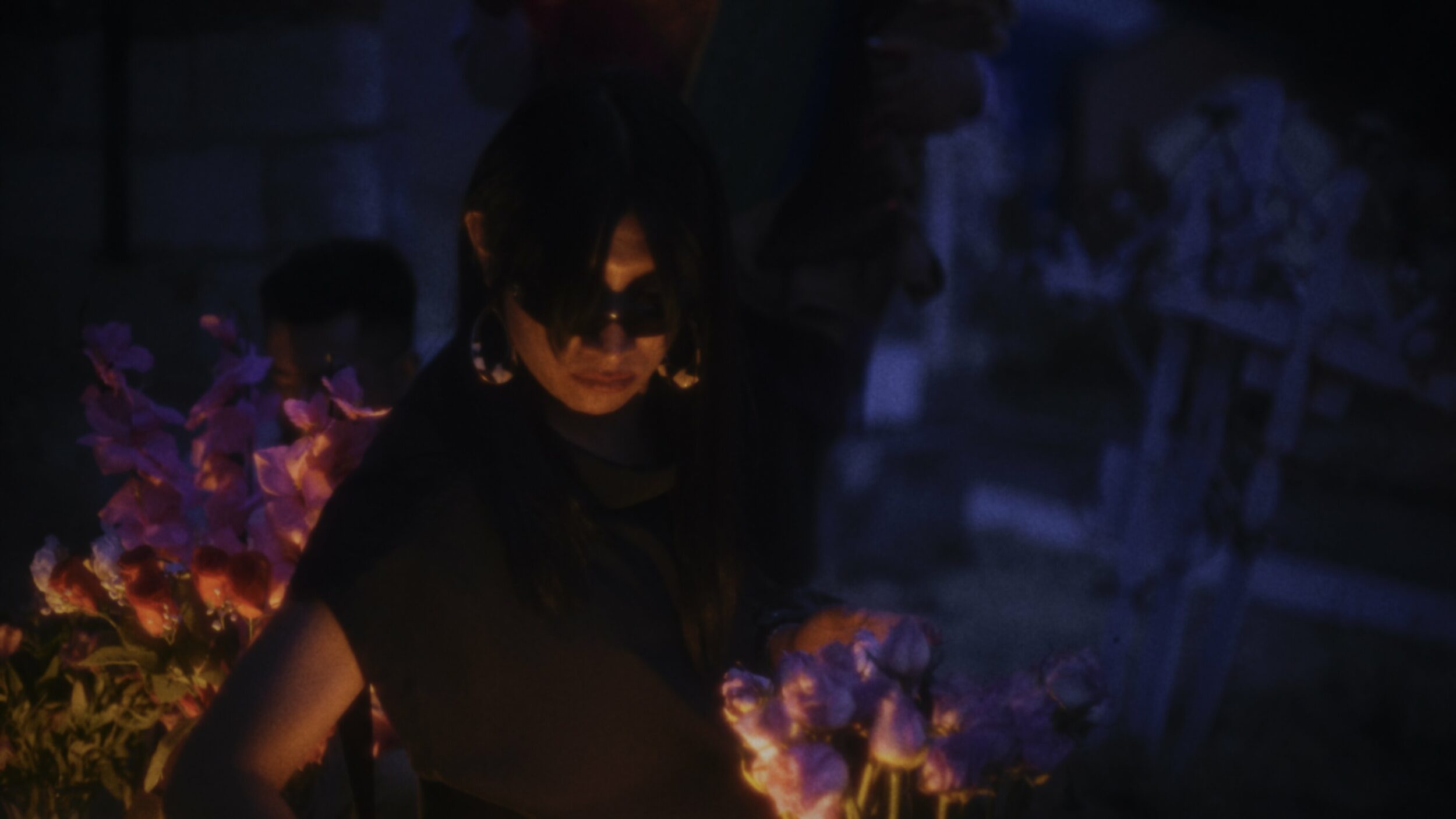 Amoxtli - Vir Andres Hera