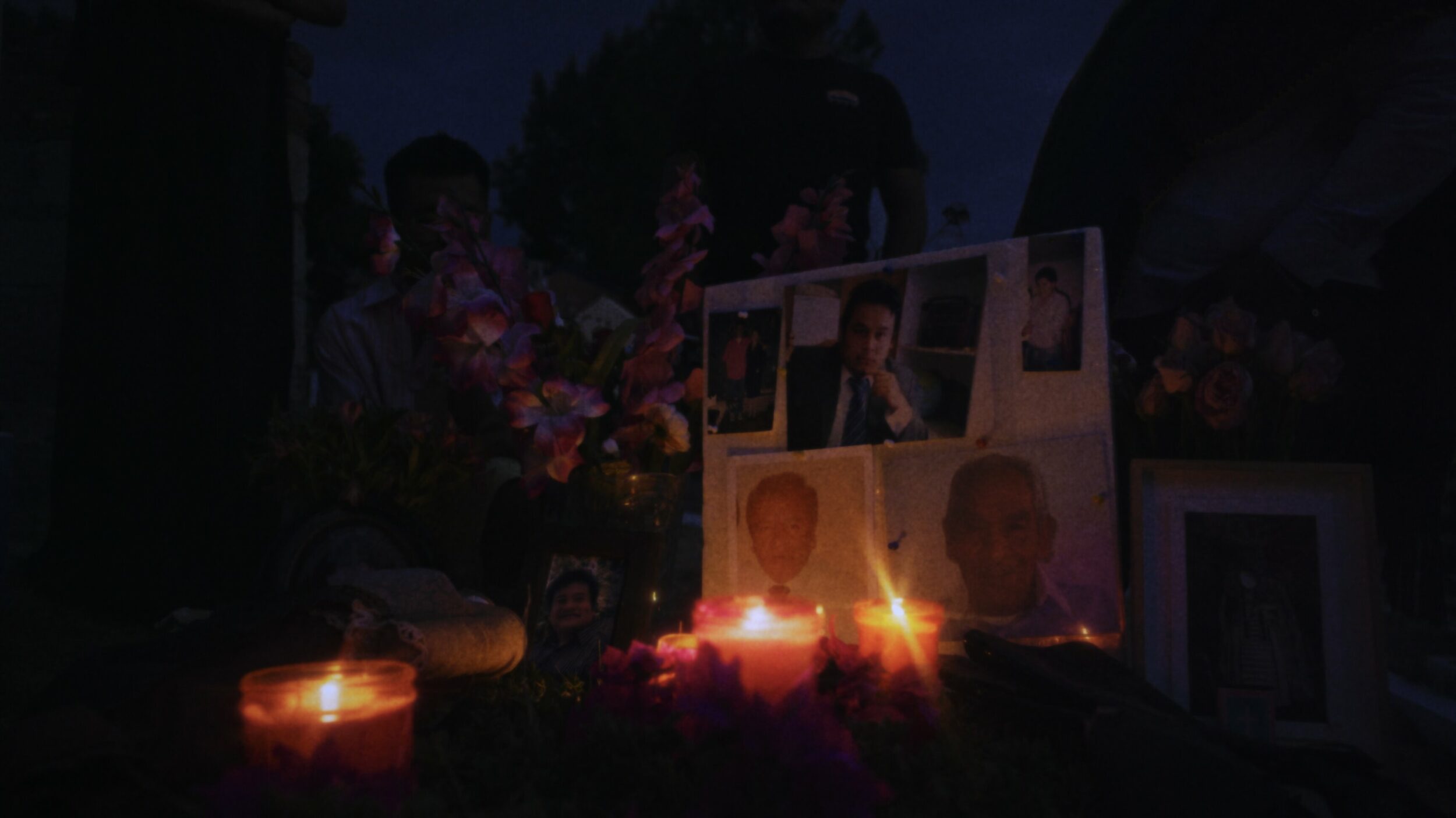 Amoxtli - Vir Andres Hera