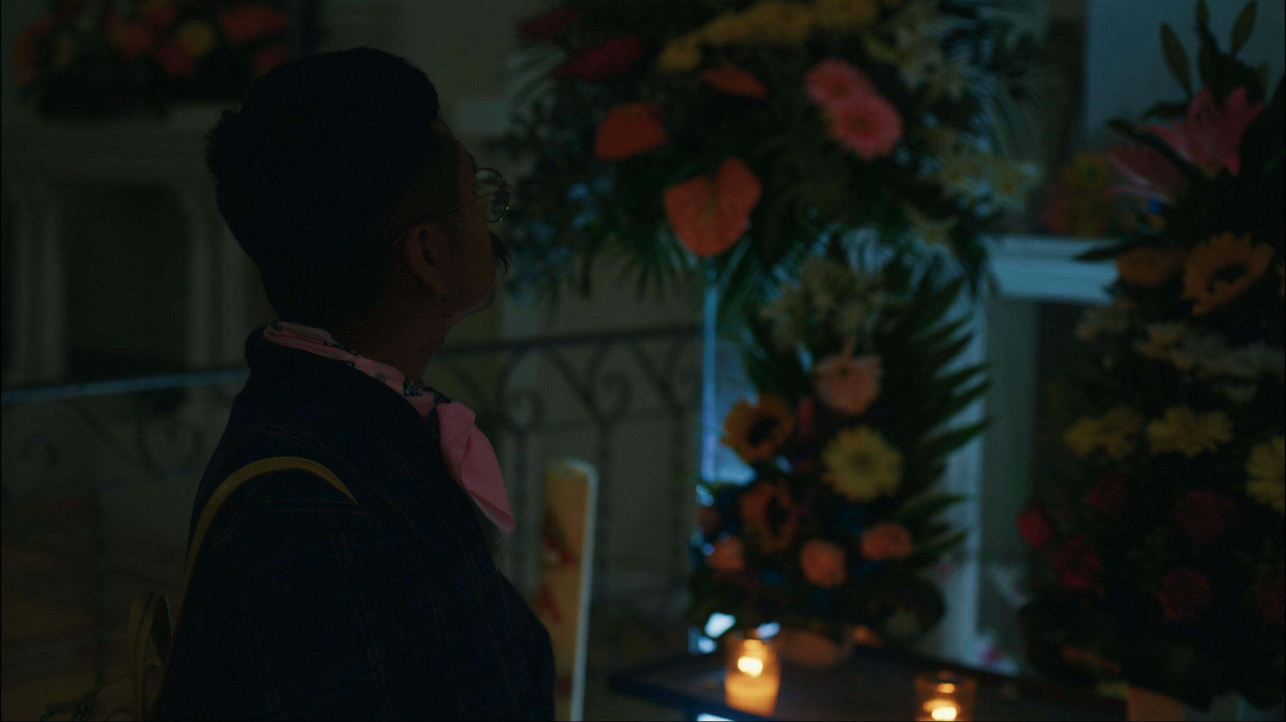 Amoxtli - Vir Andres Hera