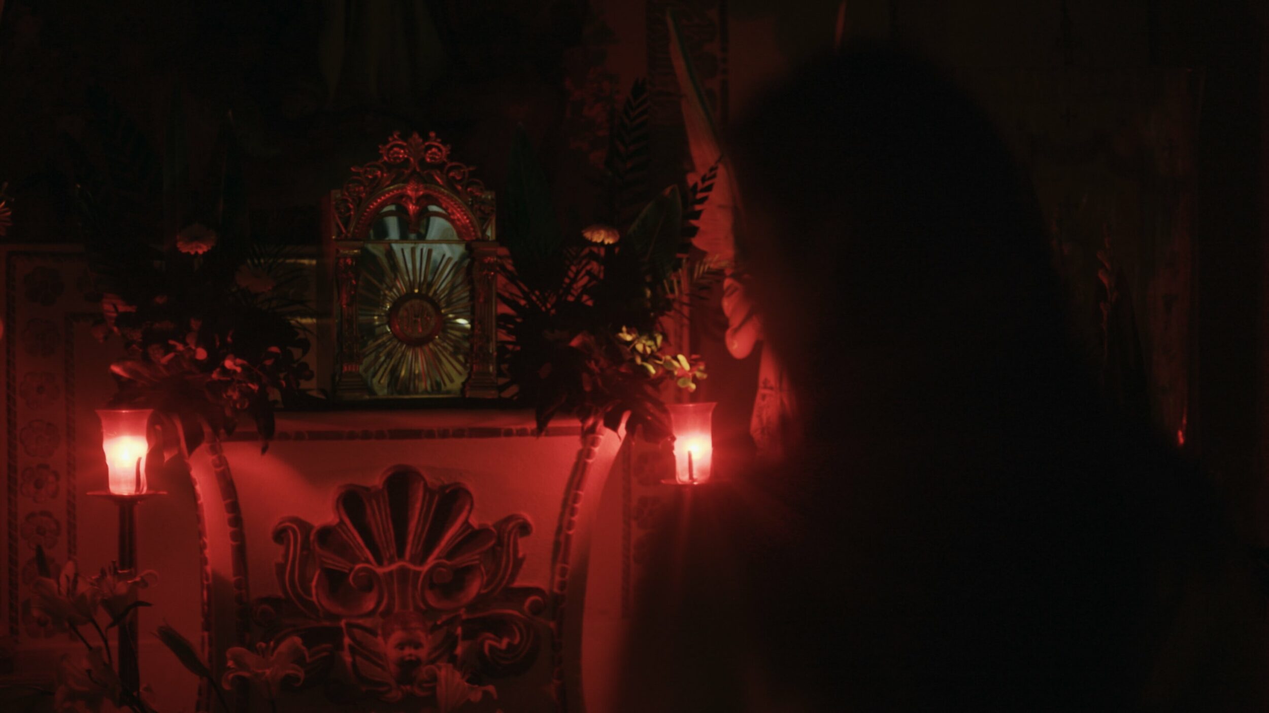 Amoxtli - Vir Andres Hera