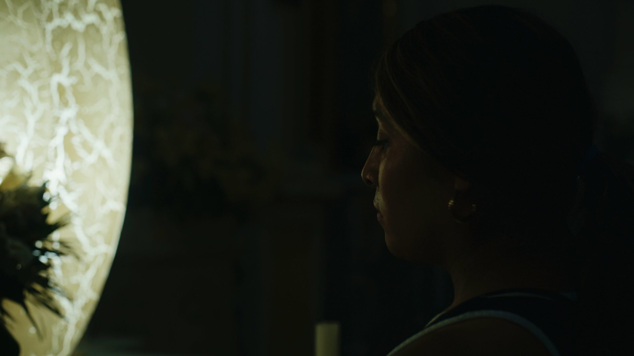 Amoxtli - Vir Andres Hera