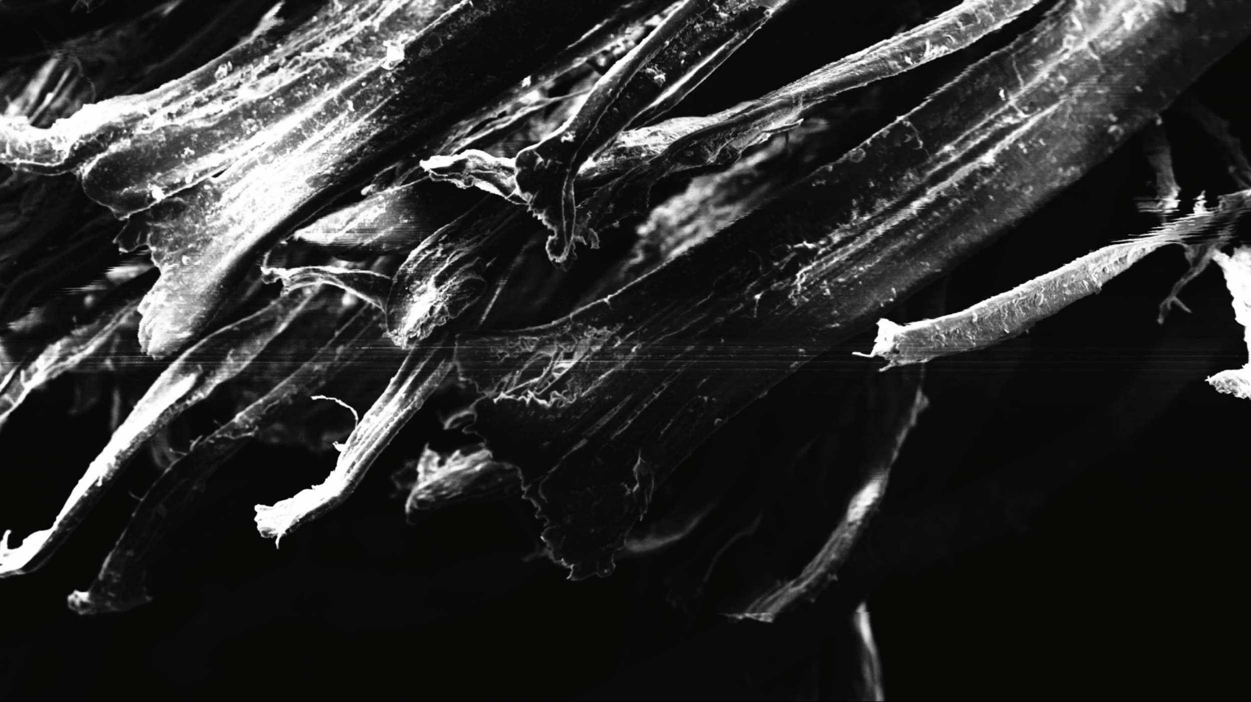 In Order of Appearance - Vir Andres Hera