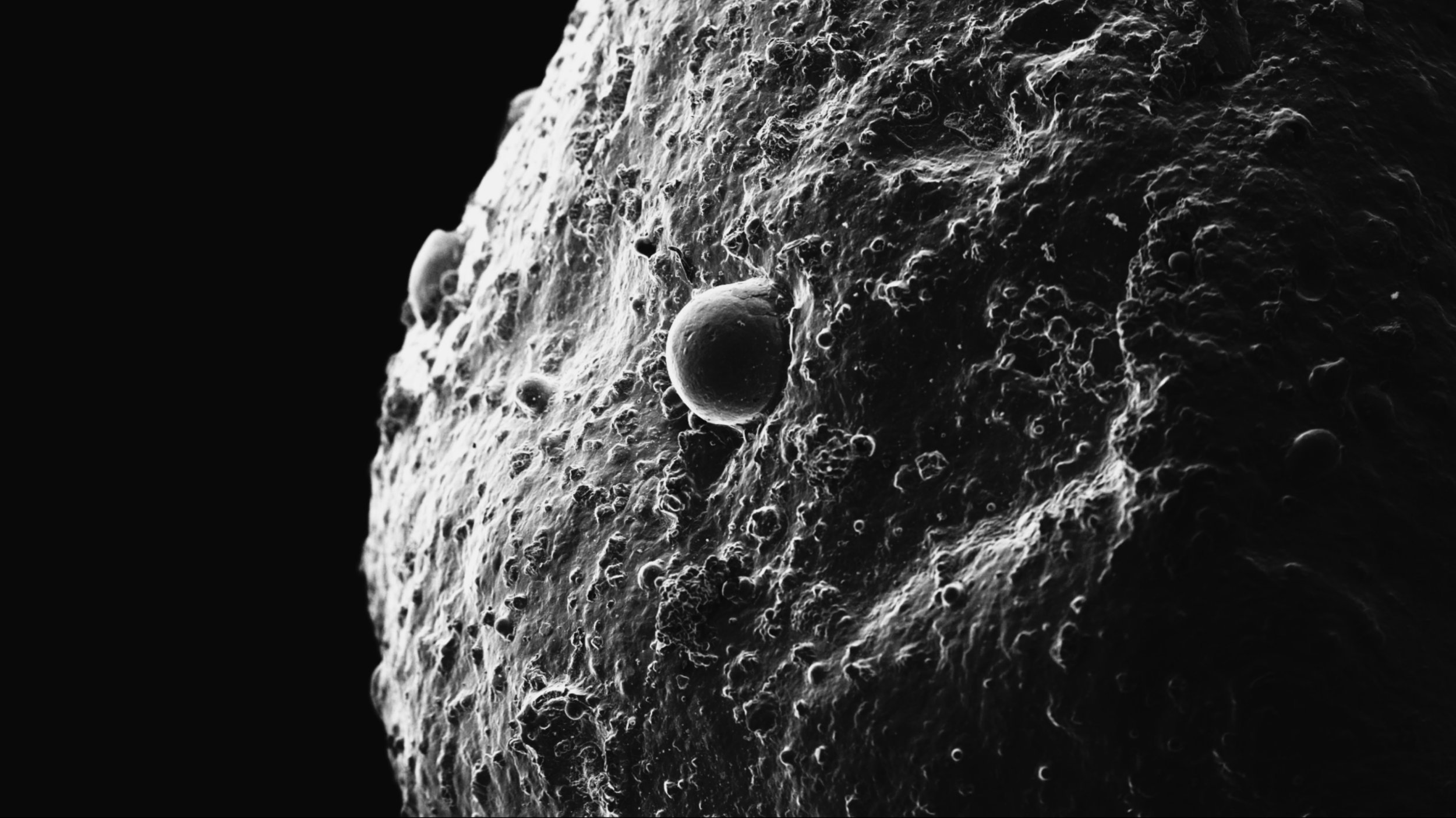 In Order of Appearance - Vir Andres Hera