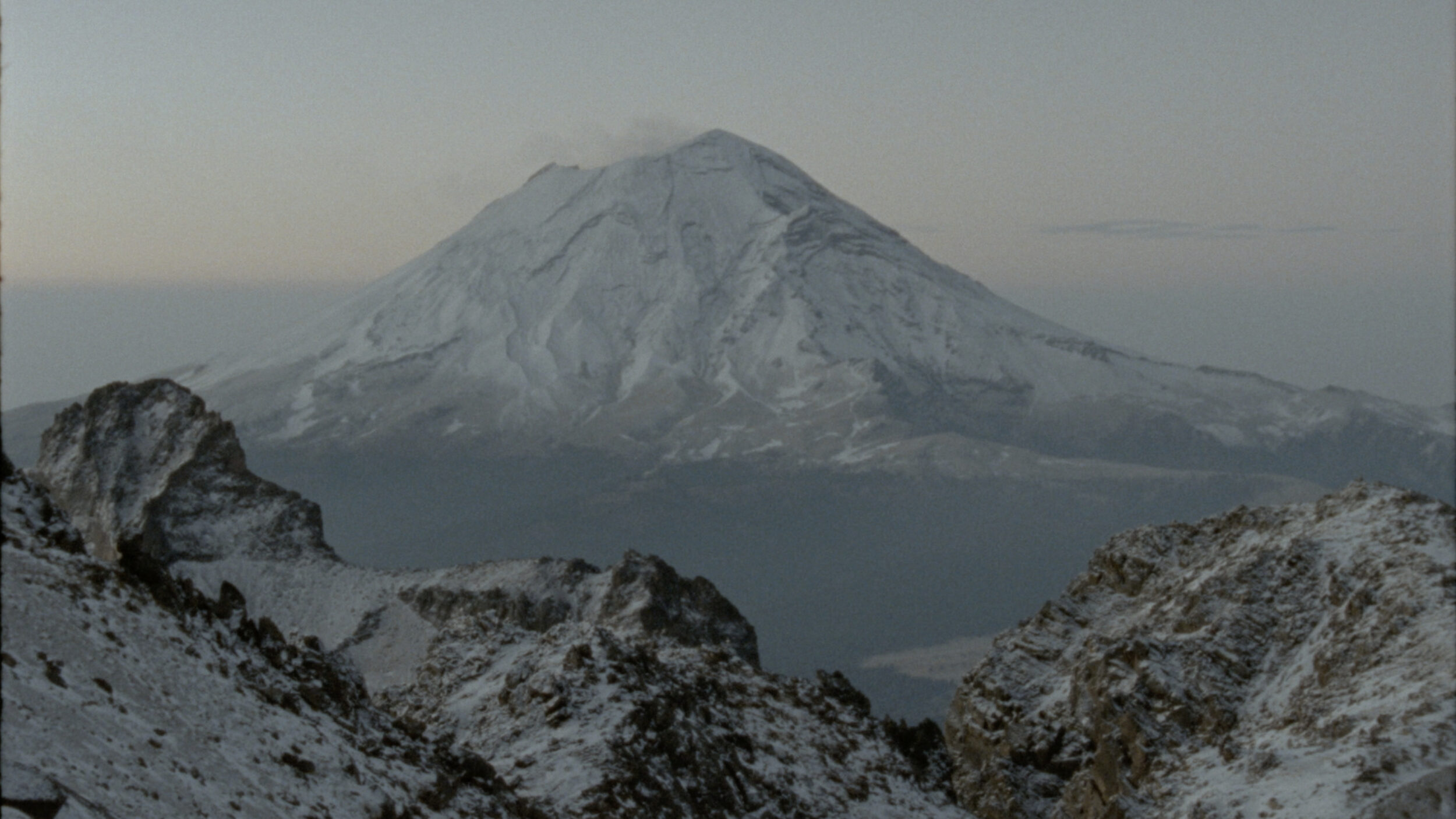 A Queer Garden - Vir Andres Hera