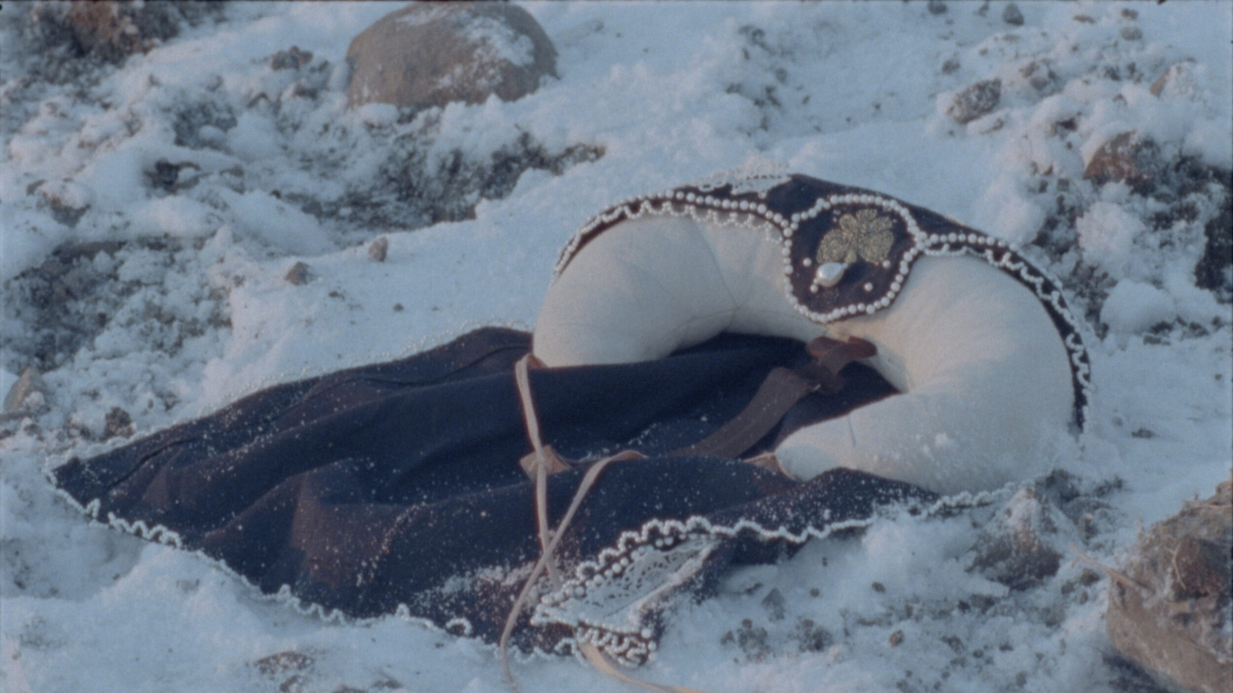 A Queer Garden - Vir Andres Hera