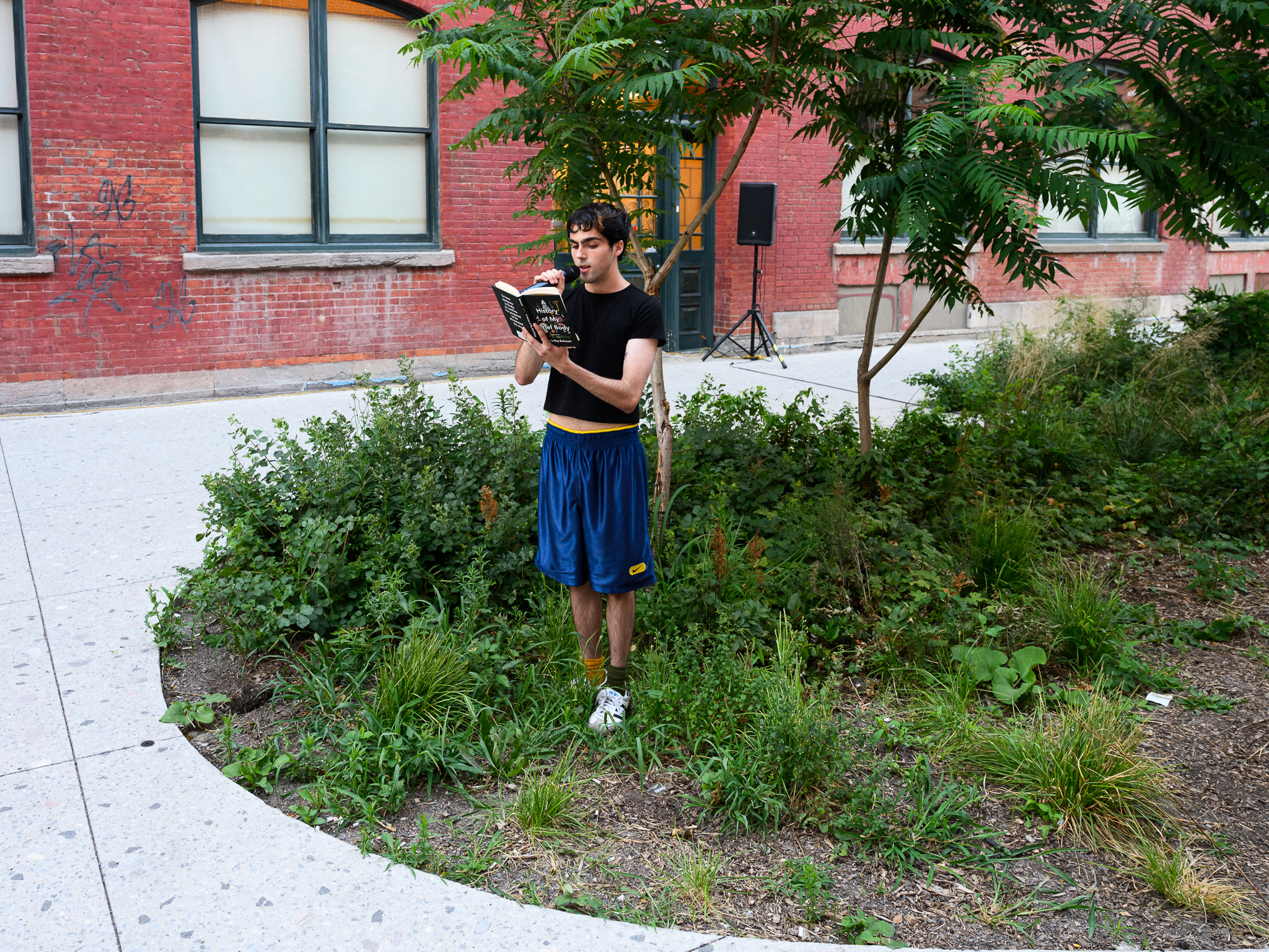 At the Limit of the Otherwordly Limit of the World - Vir Andres Hera