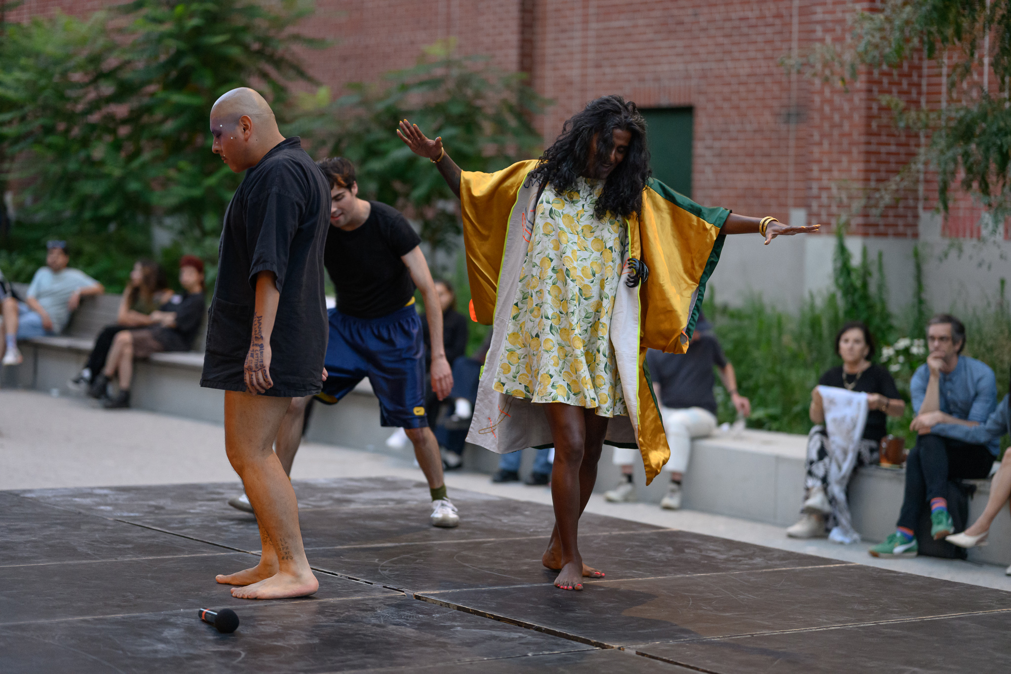 At the Limit of the Otherwordly Limit of the World - Vir Andres Hera