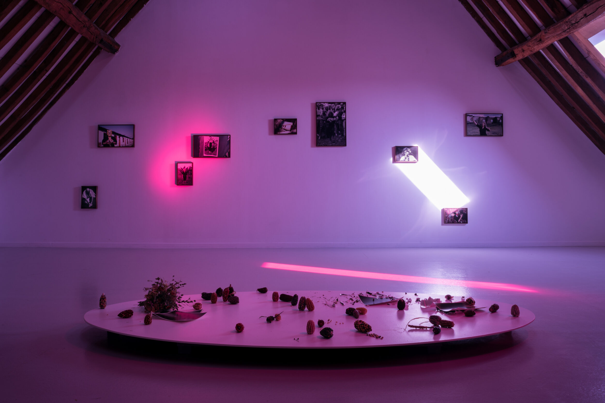 Tactical Specters - Vir Andres Hera