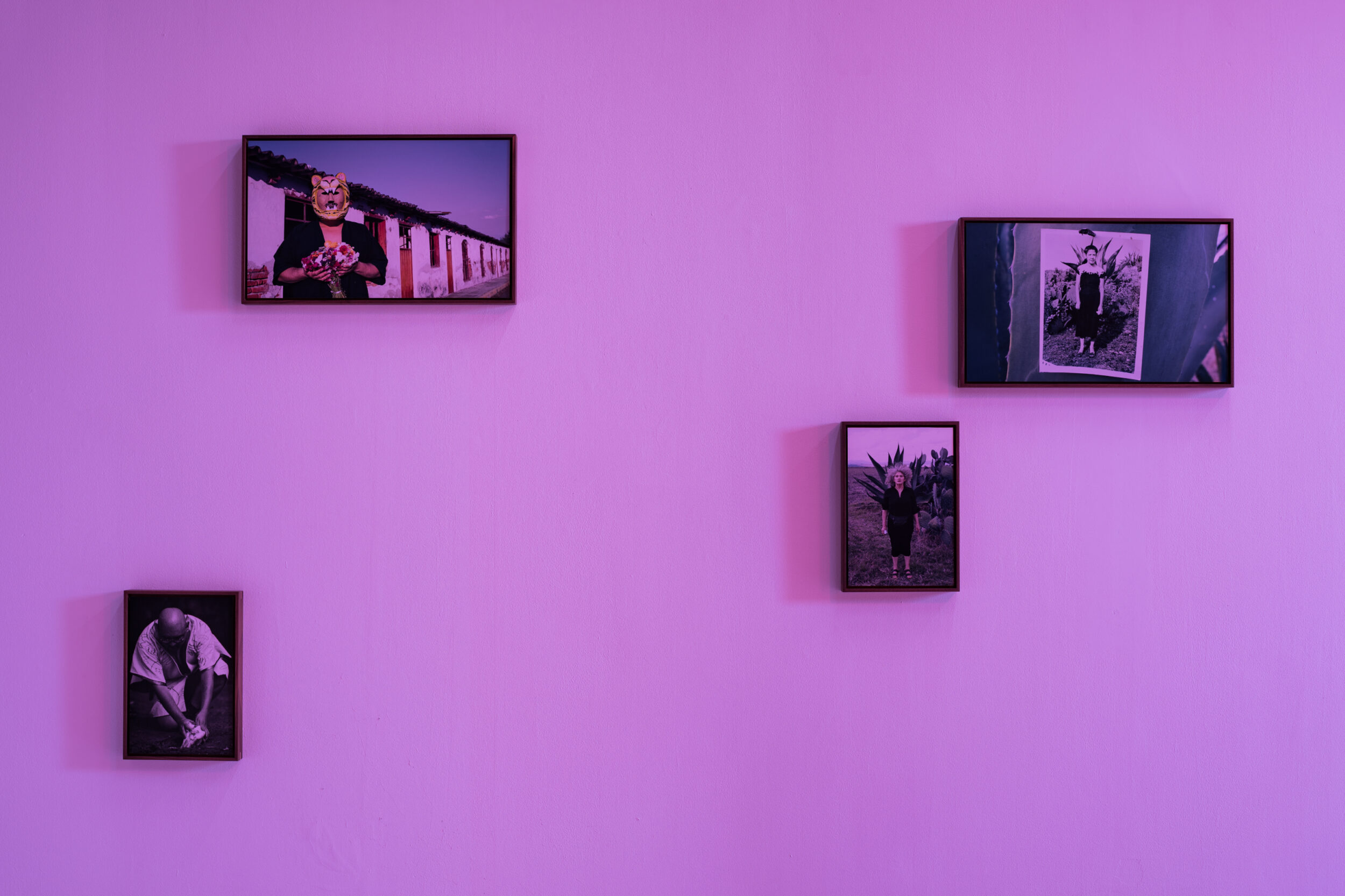 Tactical Specters - Vir Andres Hera