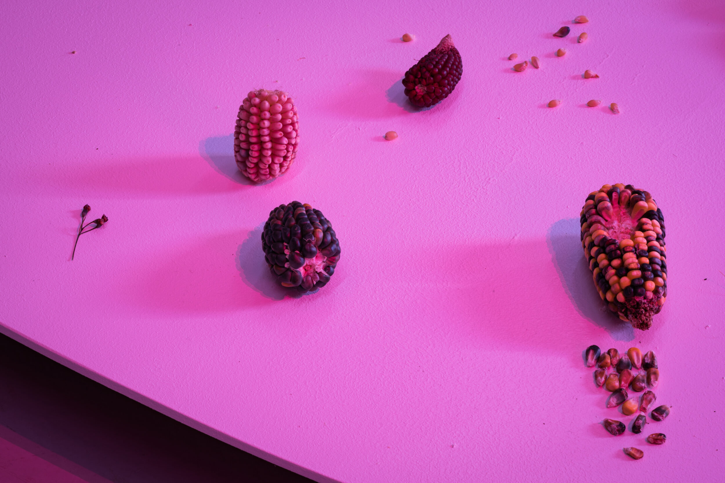 Tactical Specters - Vir Andres Hera