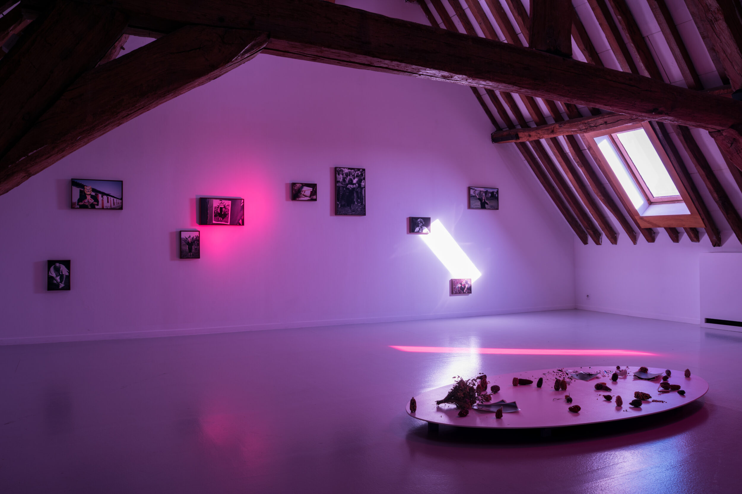 Snake Chamber, Burial Reenactment - Vir Andres Hera