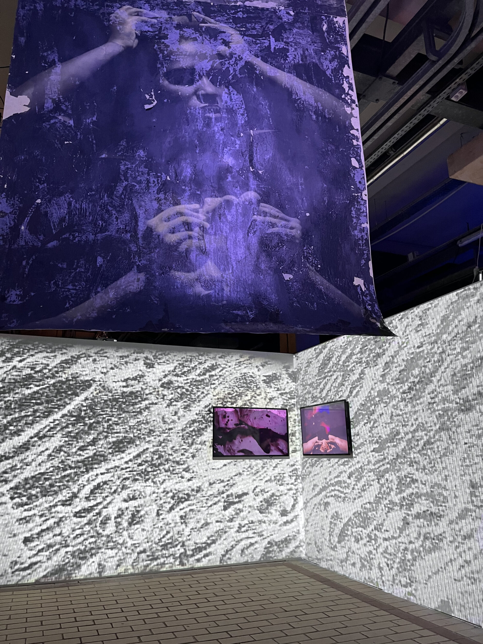 Things Sometimes and Accidentally True - Vir Andres Hera