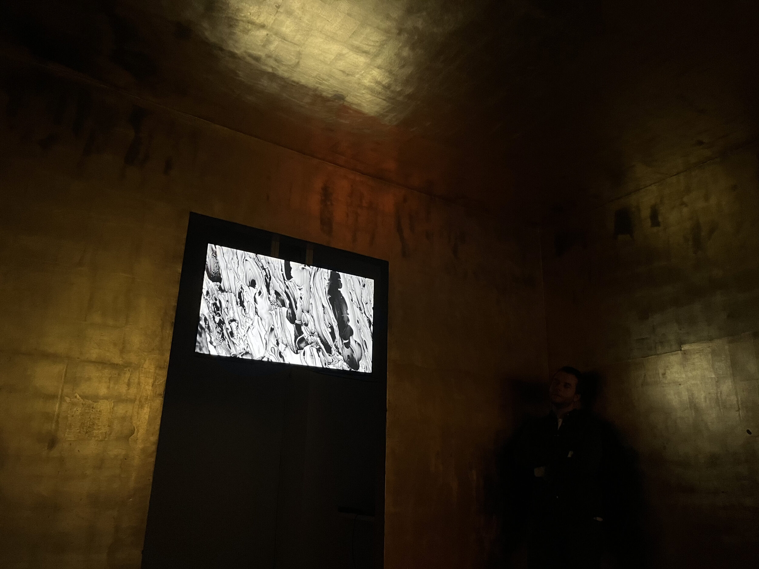 In Order of Appearance - Vir Andres Hera