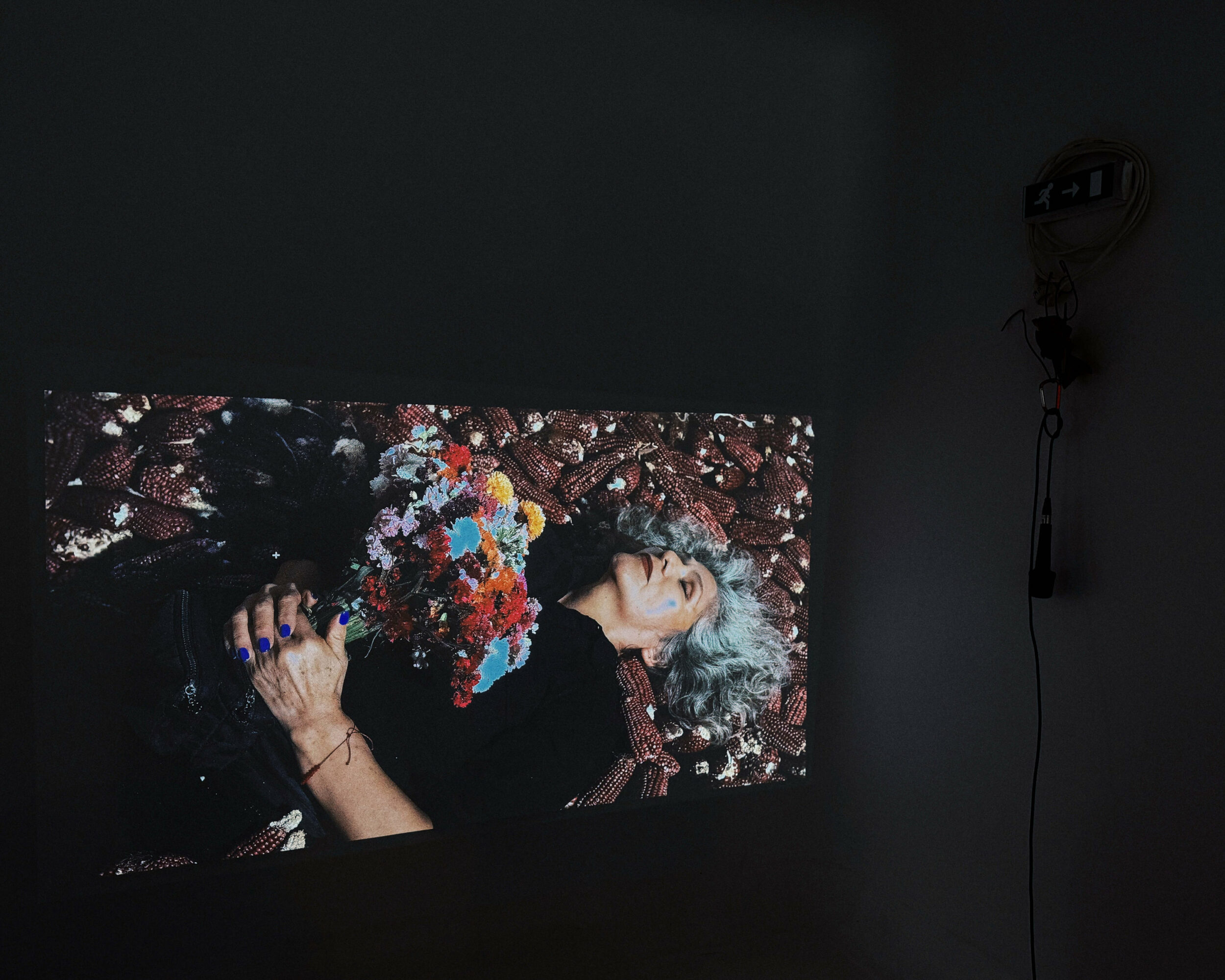 A Room of One’s Ghosts - Vir Andres Hera