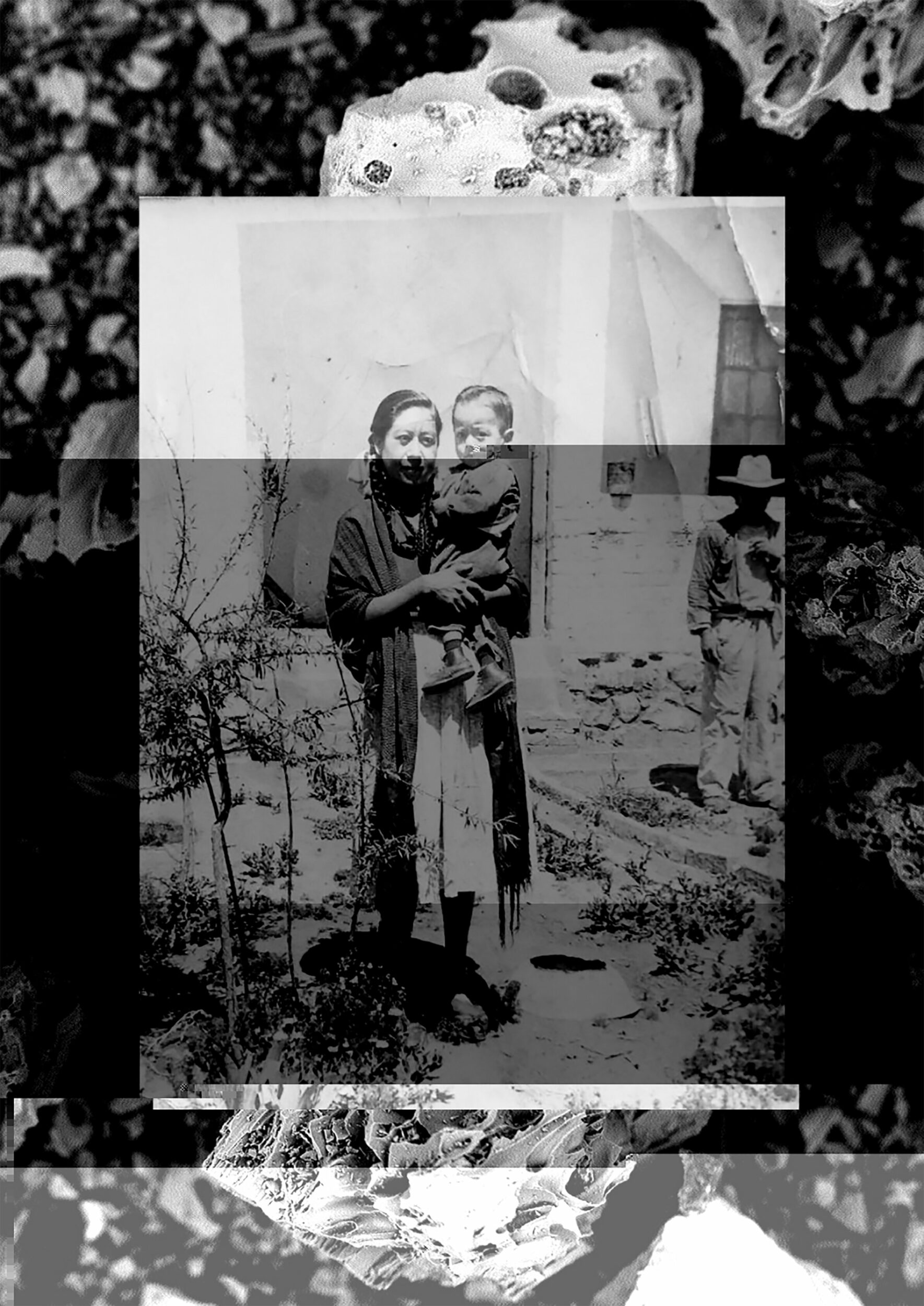 James Evans, Beatrix and the EPV - Vir Andres Hera