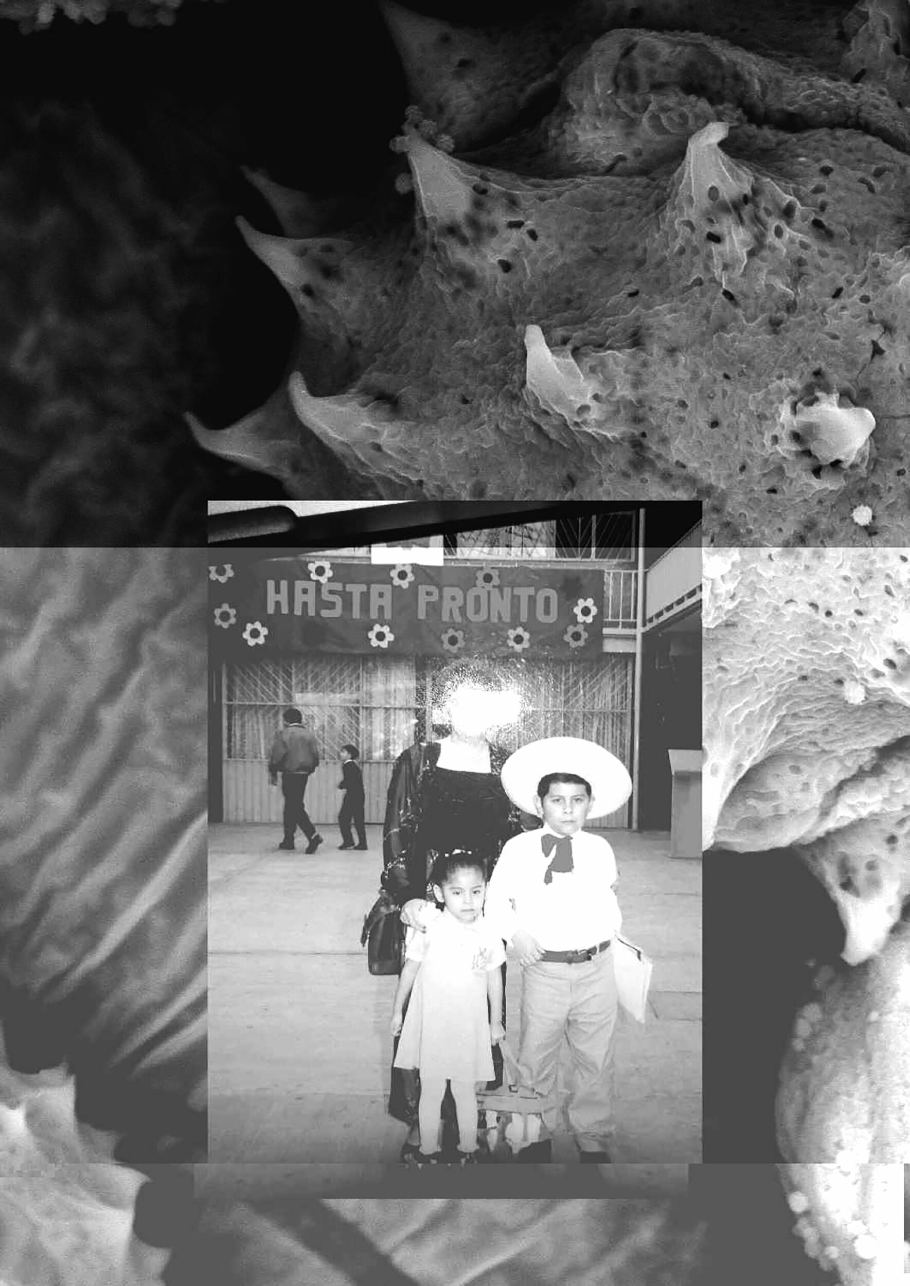 James Evans, Beatrix and the EPV - Vir Andres Hera