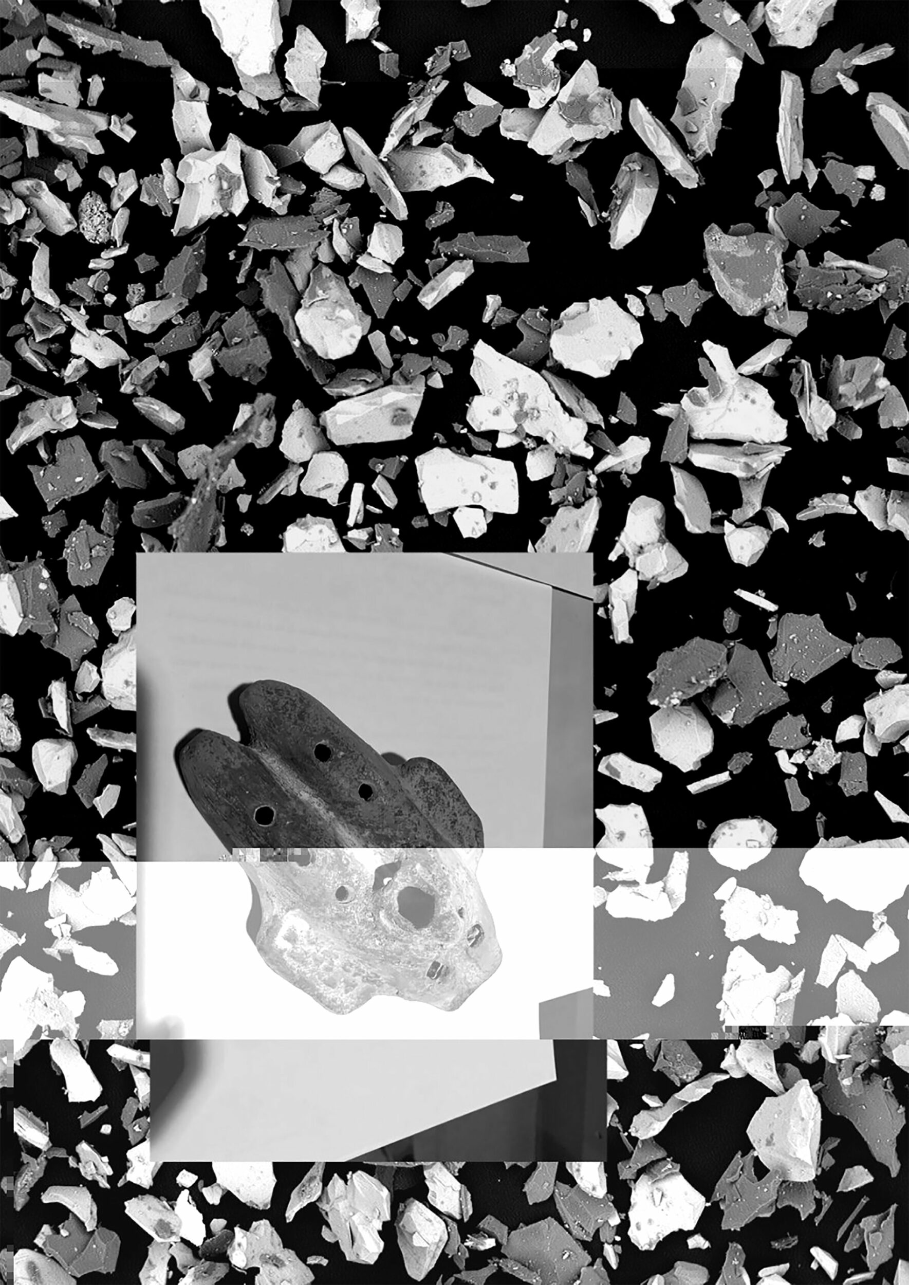 James Evans, Beatrix and the EPV - Vir Andres Hera